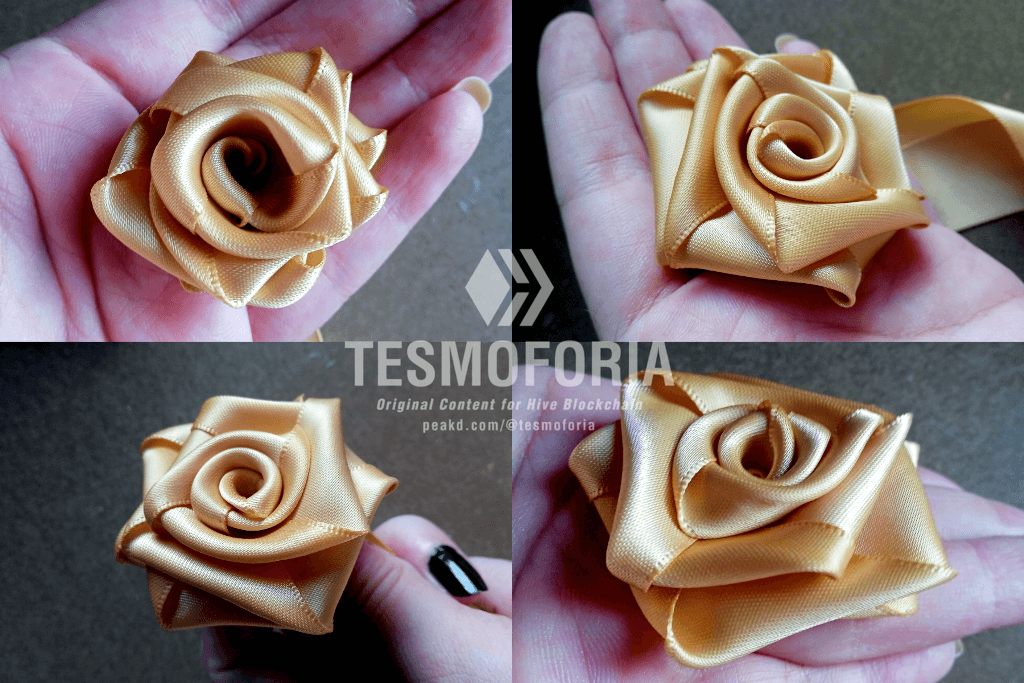 RosasDeCinta_10.png