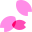 sakura (1).png