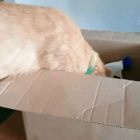 1757202011545.gif
