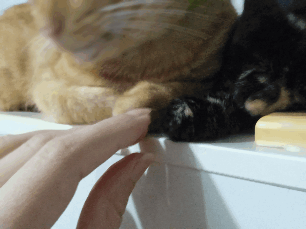 1761957231679 (1) (1).gif