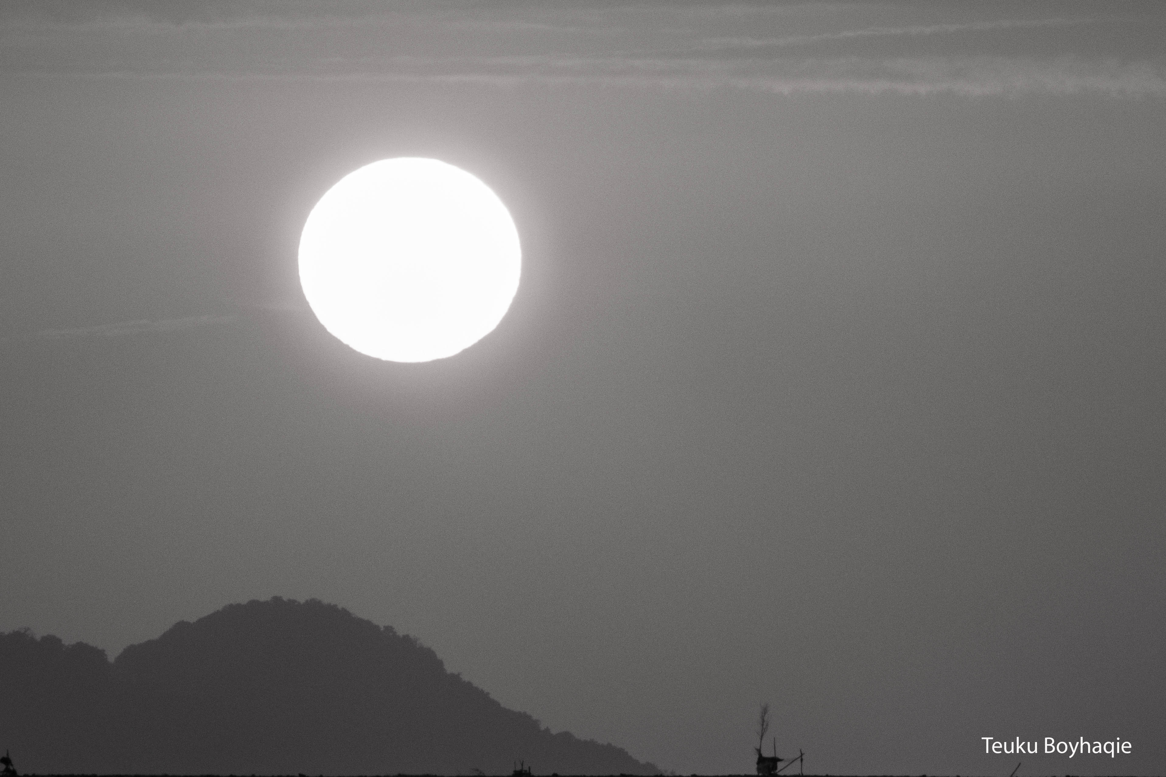 DSCN1379.JPG