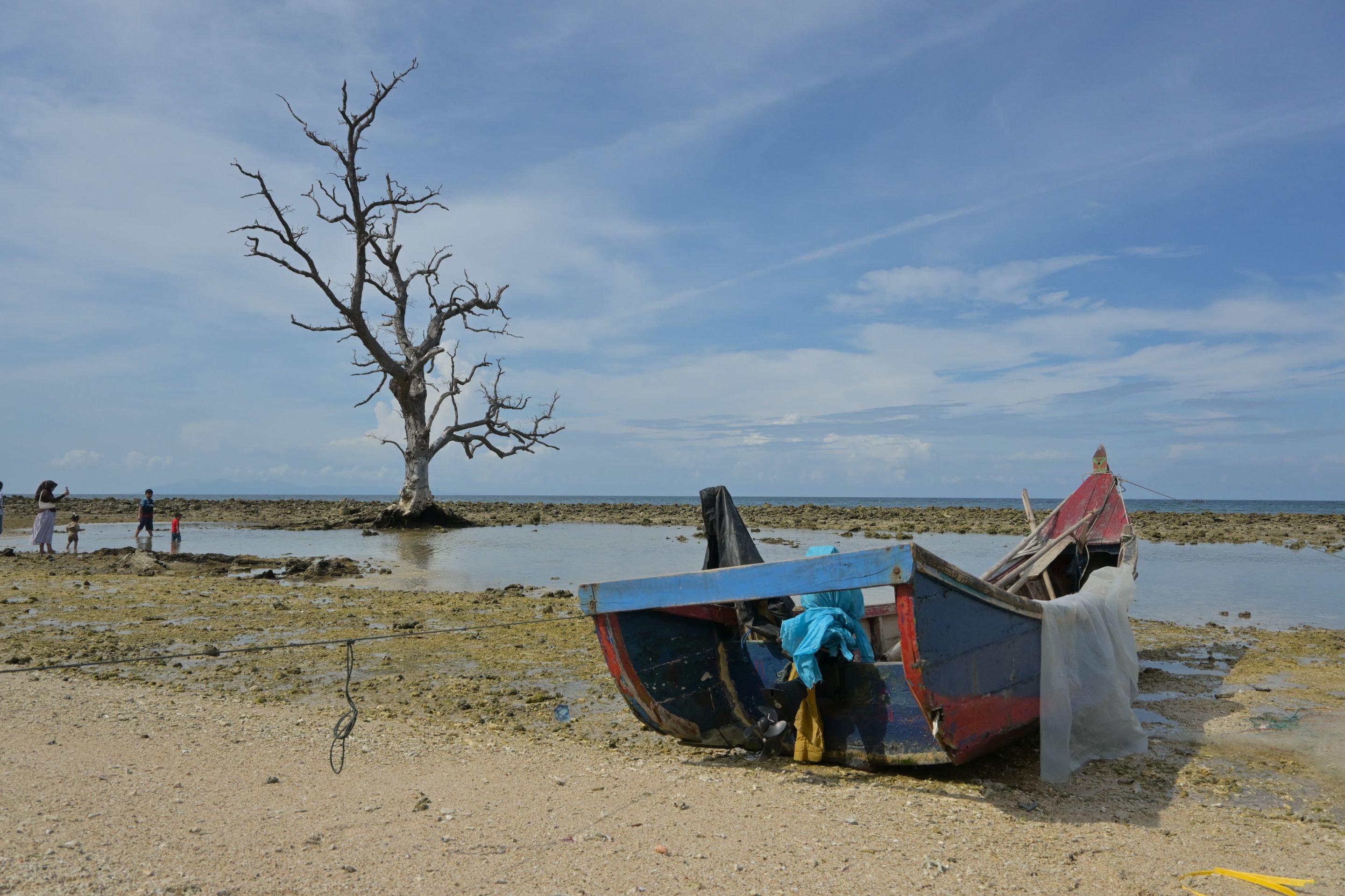 DSC_3079.JPG
