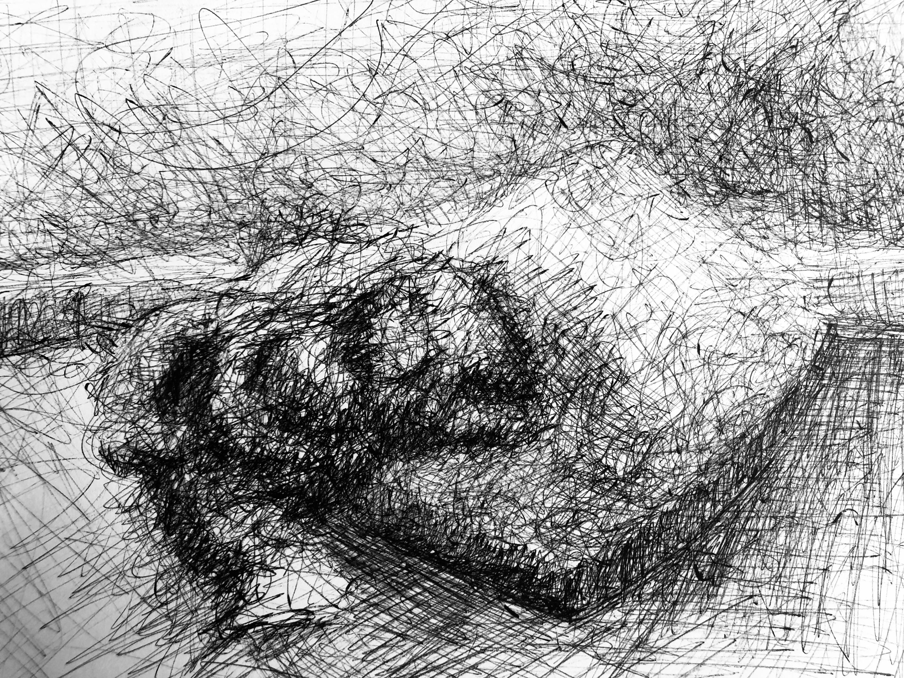 IMG_3602.jpeg