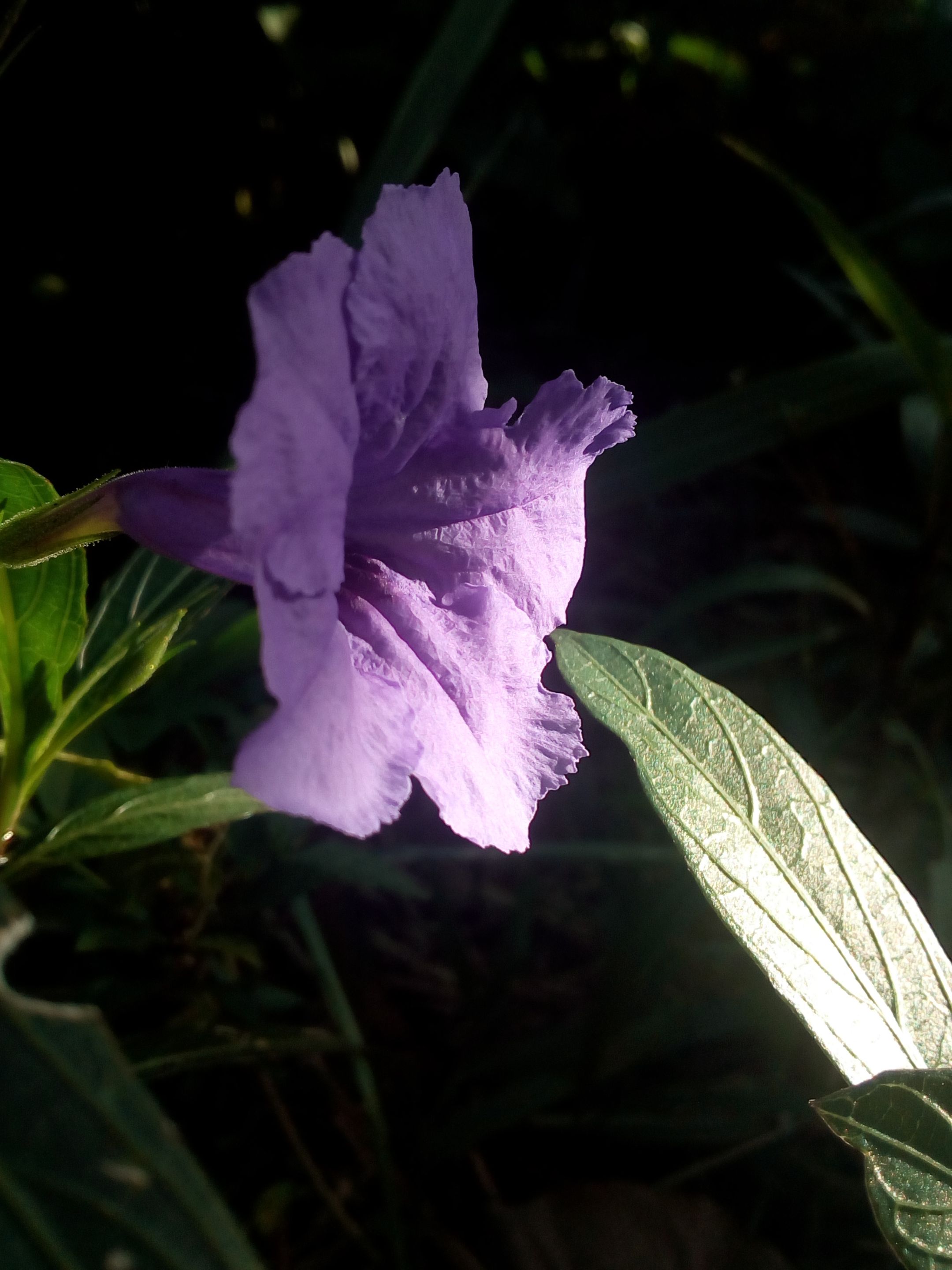 IMG_20220110_073058.jpg