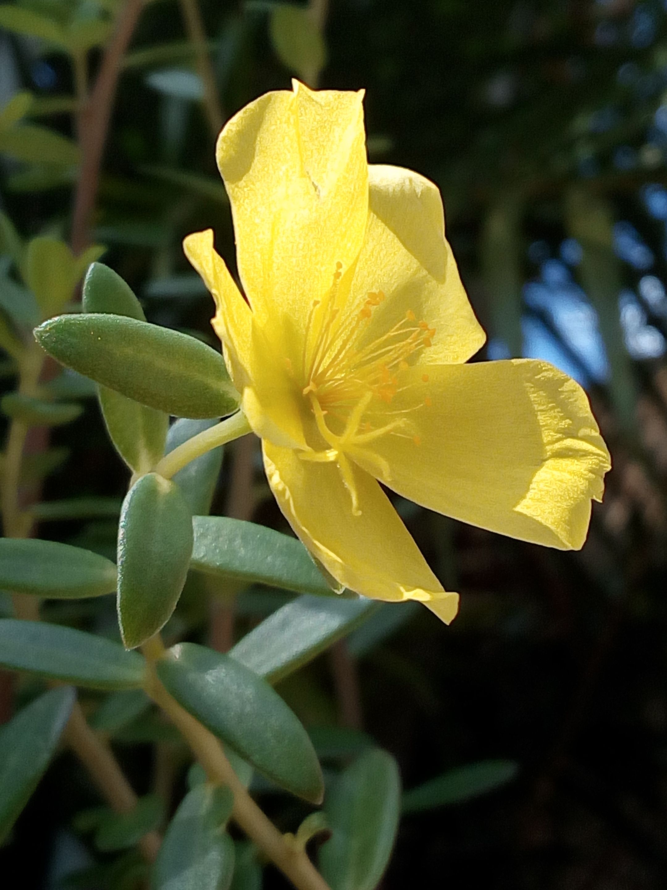 IMG_20220130_100449.jpg