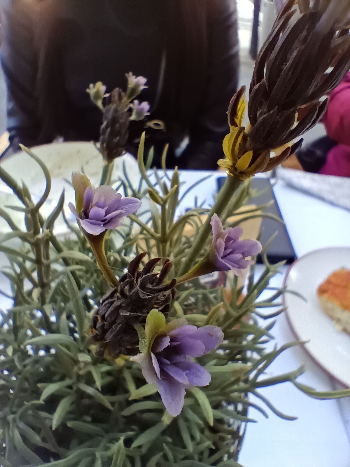 IMG20220410160846.jpg