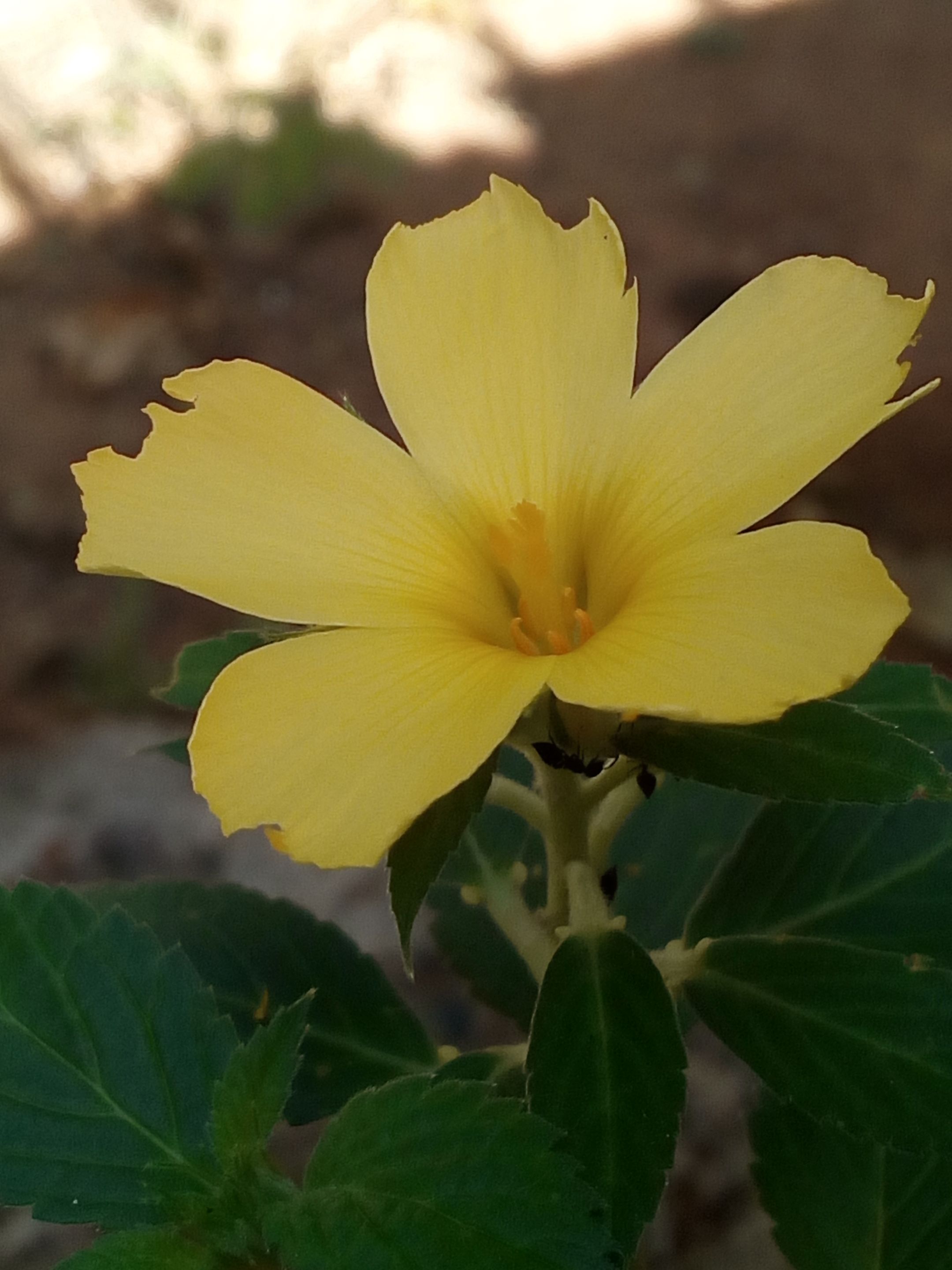 IMG_20220130_100216.jpg
