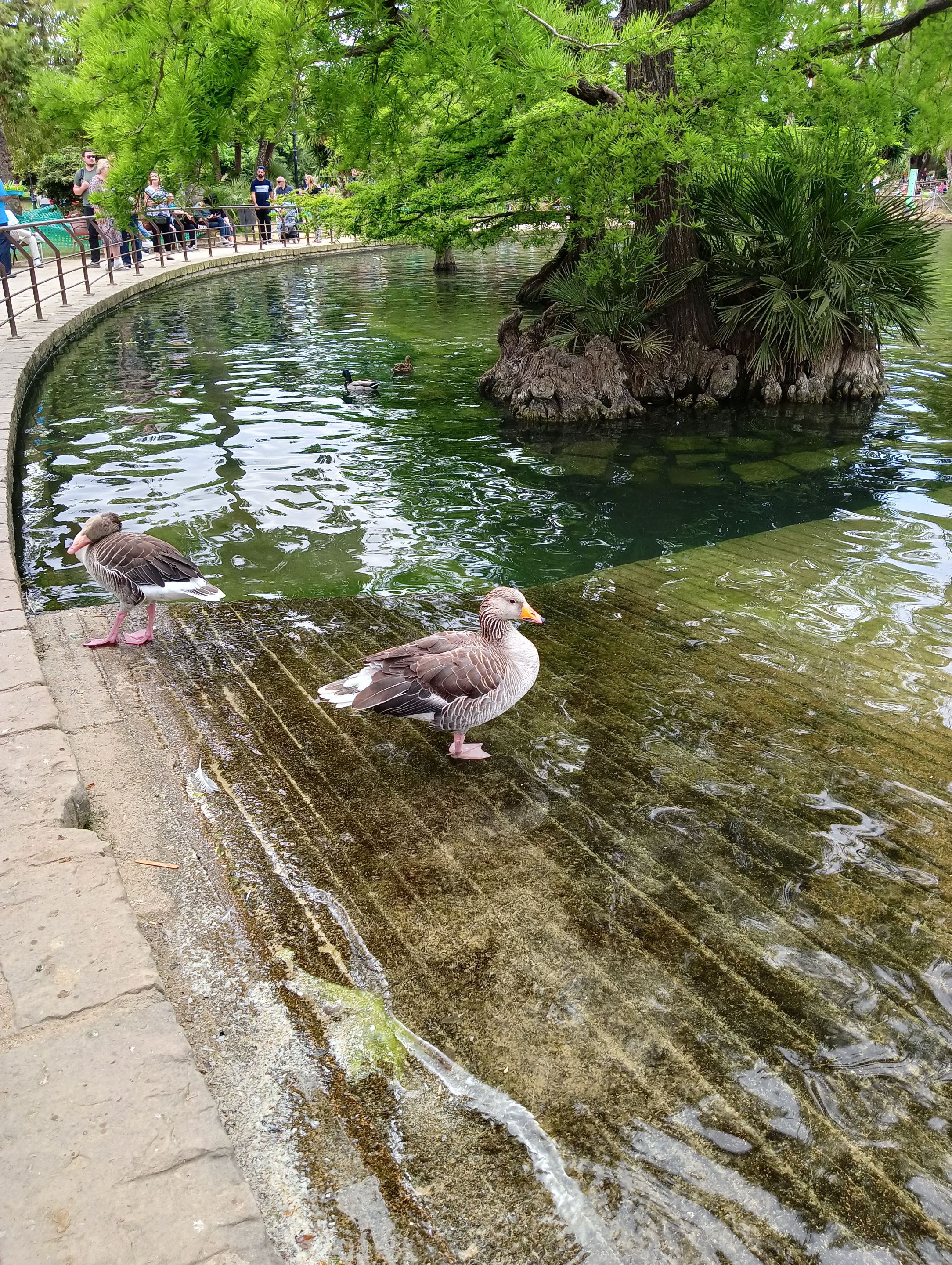 IMG20220508155922.jpg