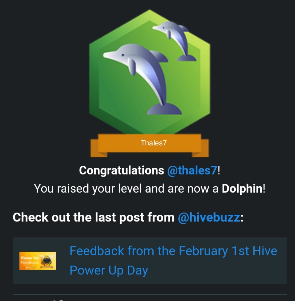 @thales7/thales7-is-a-hivedolphin-now