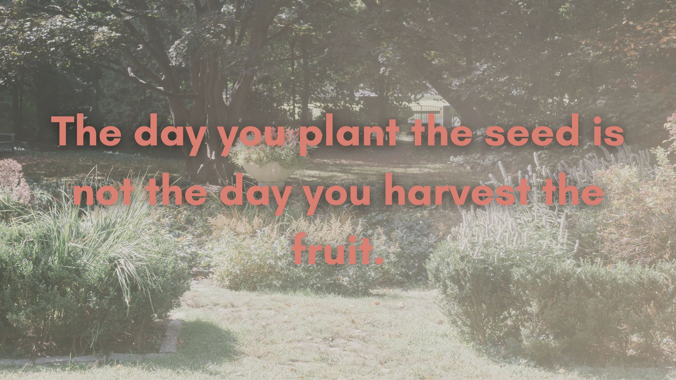 The day you plant the seed is not the day you harvest the fruita heading.jpg