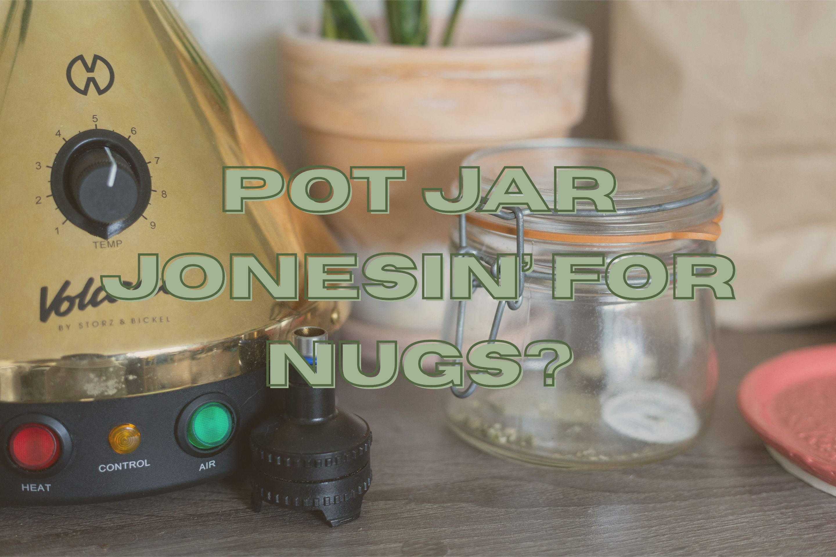 Pot Jar Jones.jpg