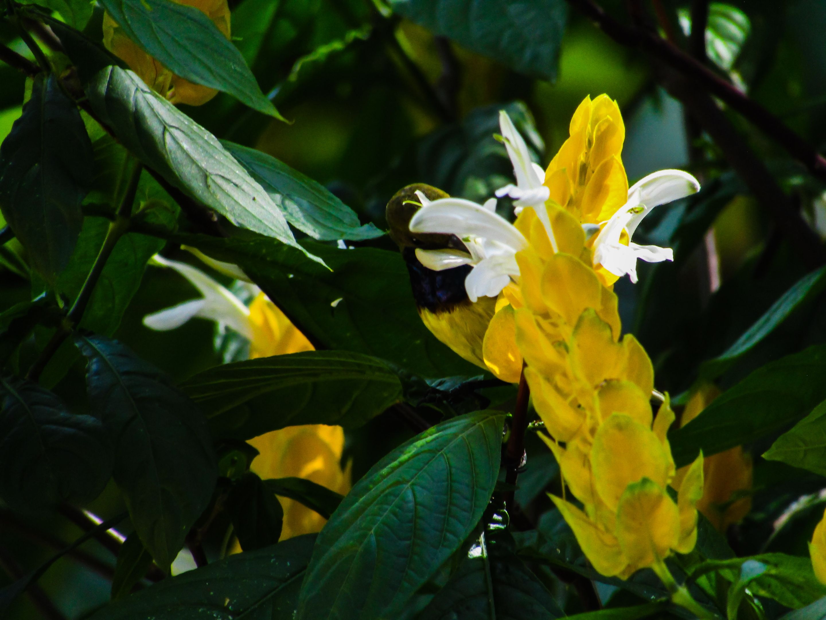 PSX_20220131_195205.jpg