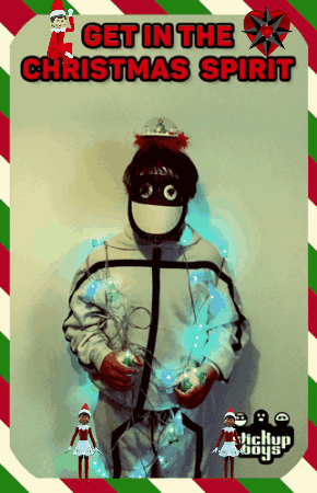 elfontheshelf.gif