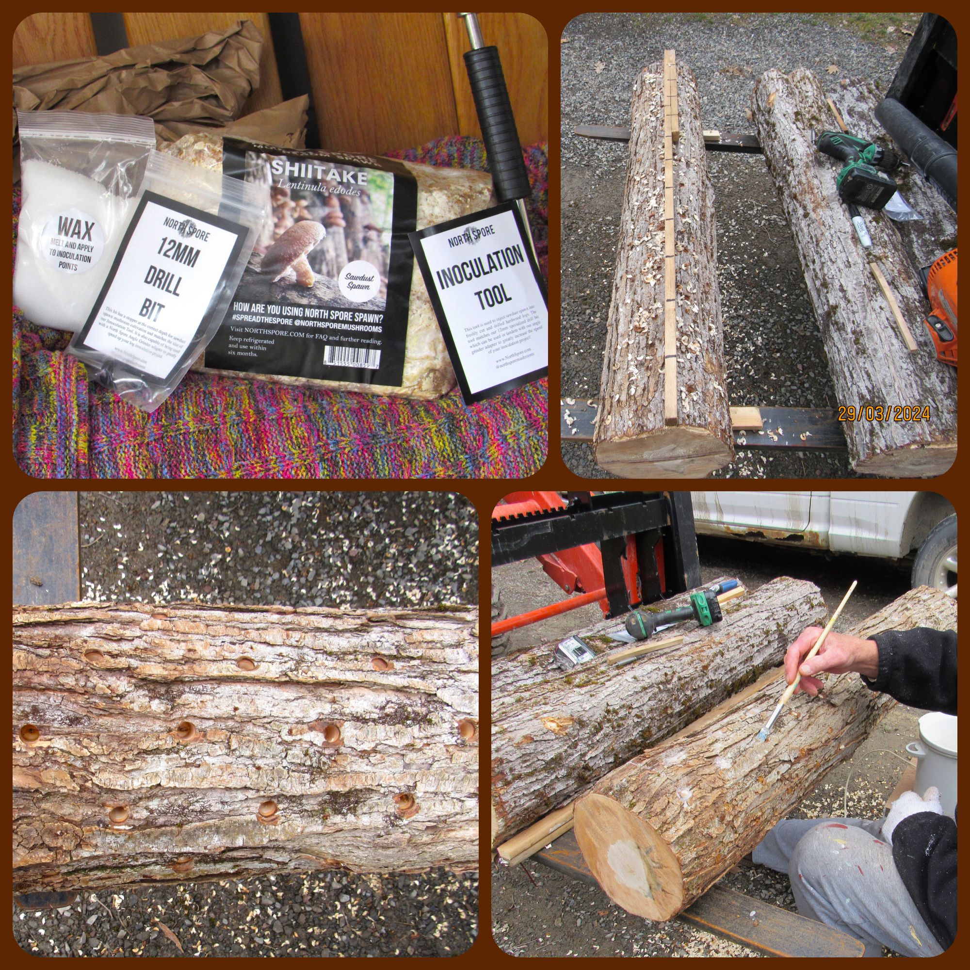 Etsy Item Listing Photo - 2025-02-03T104439.634.png