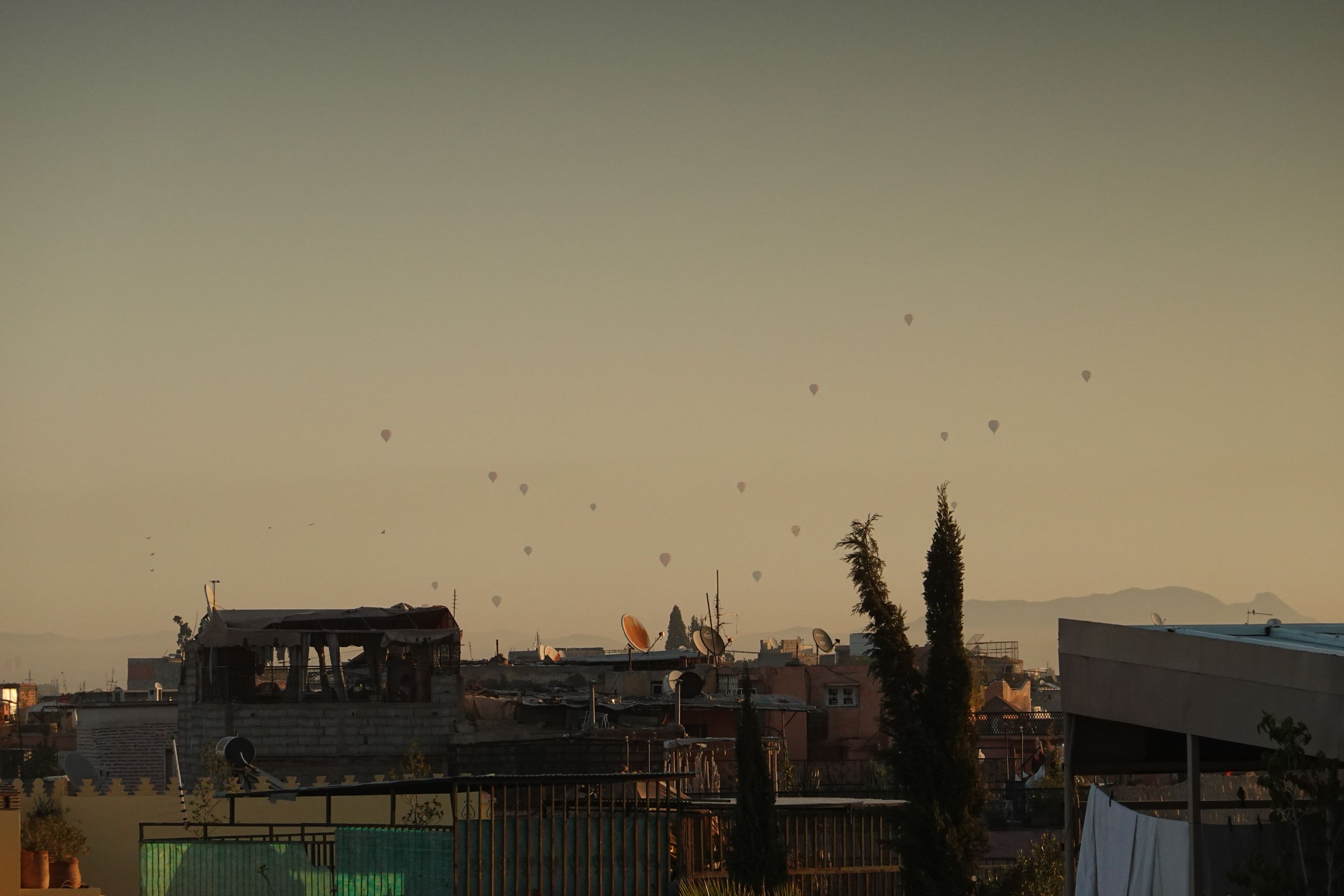 4930.jpg