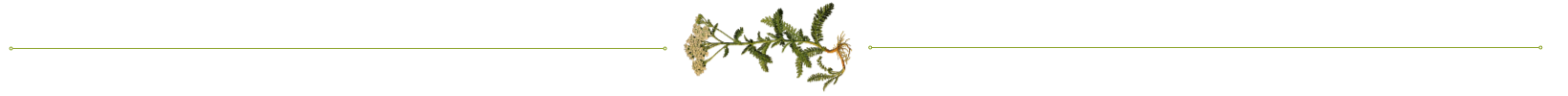 divider.png