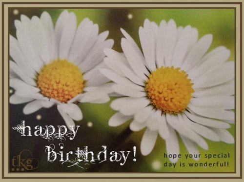 Birthday2017--Daisies-TKG.jpg