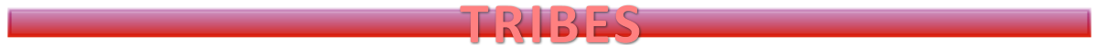 LISTSTribes.png