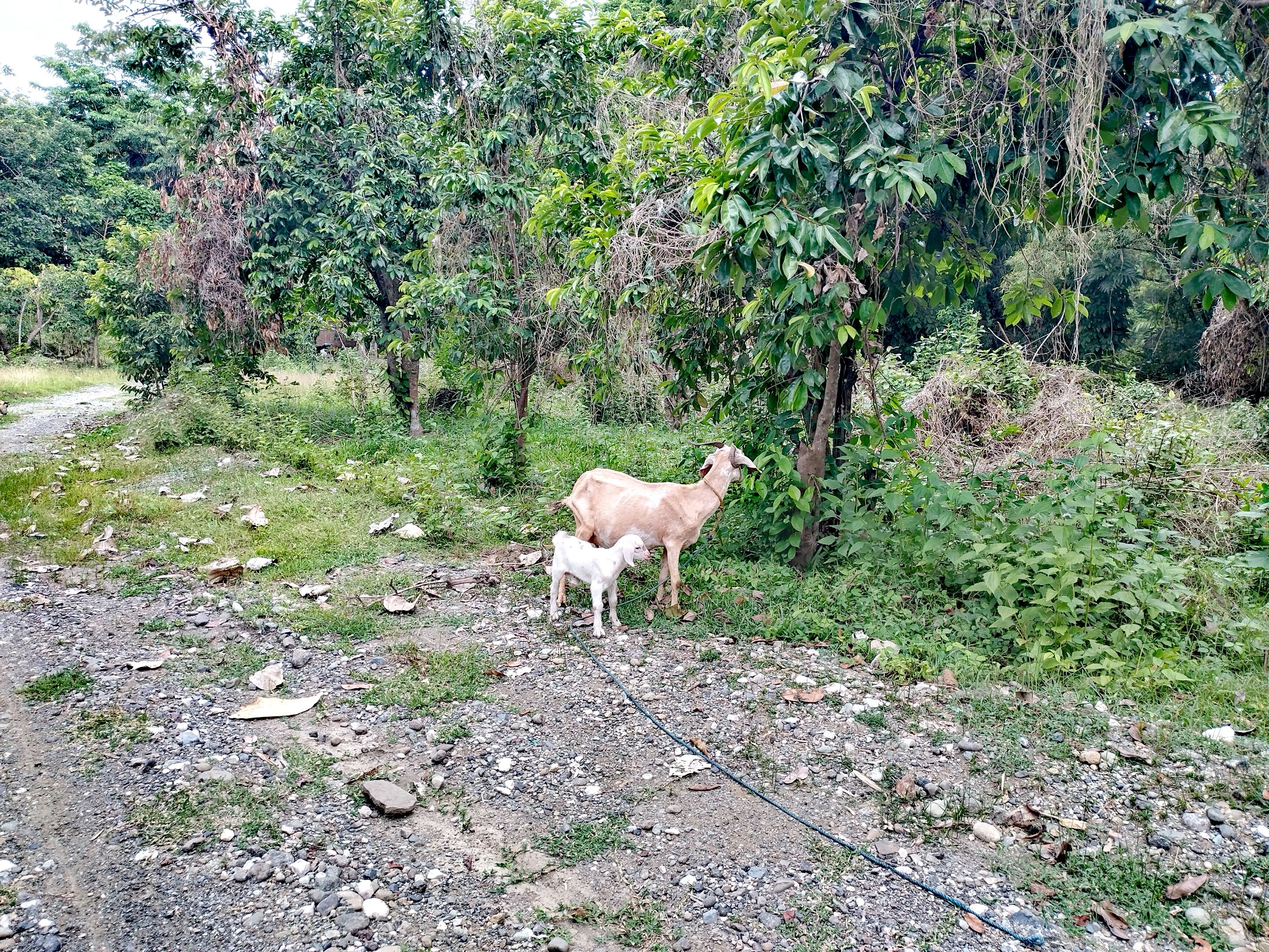IMG_20250807_155120.jpg