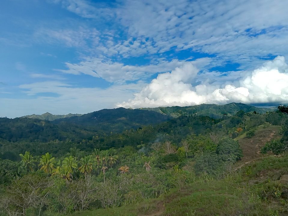 IMG_20250421_163955.jpg