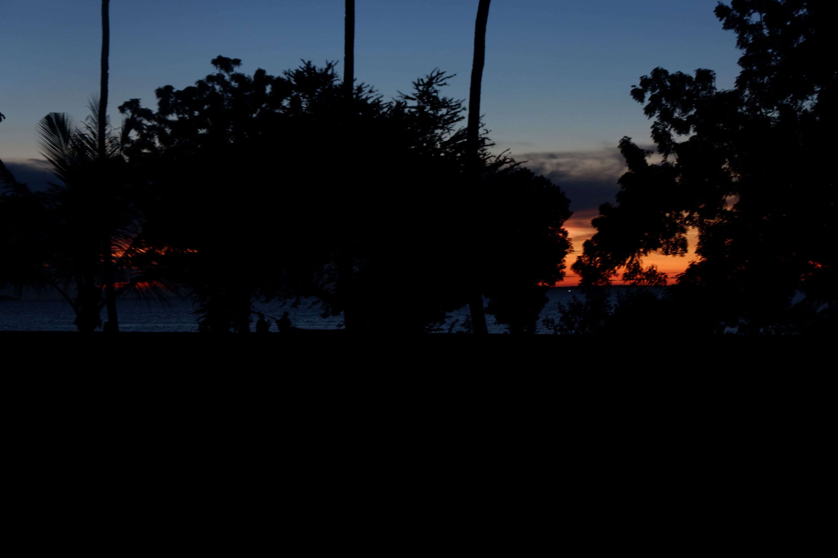 DSCF6956.JPG