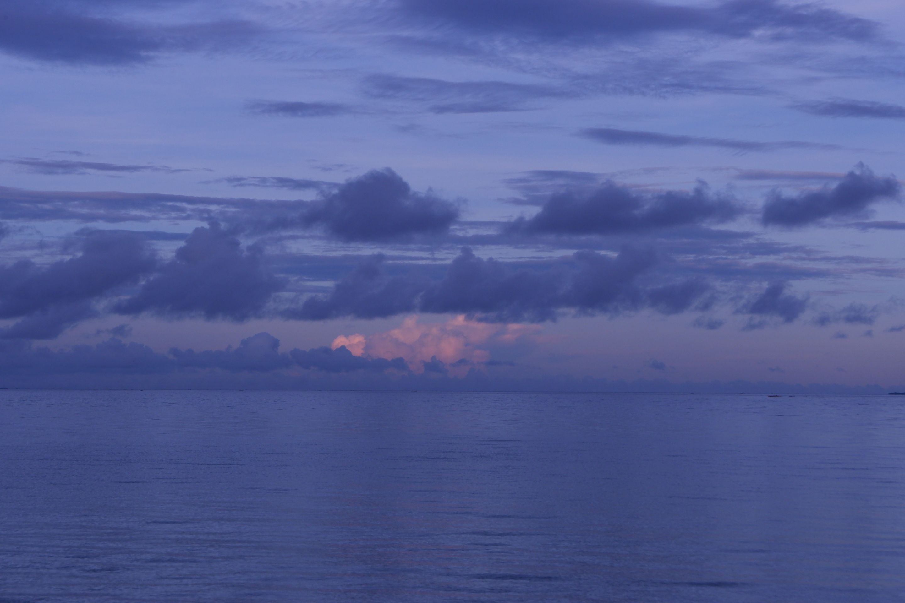 DSCF6988.JPG