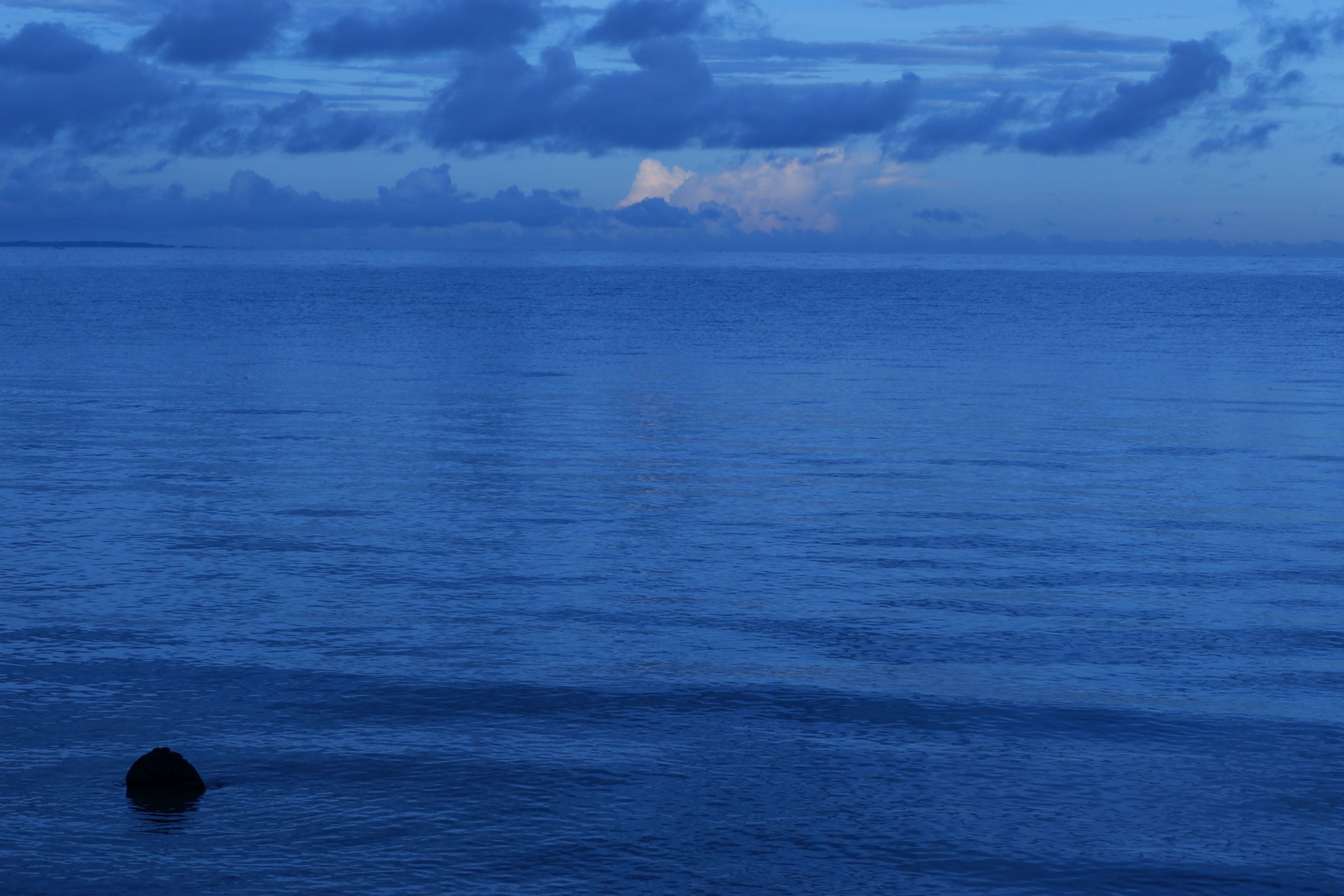 DSCF6994.JPG