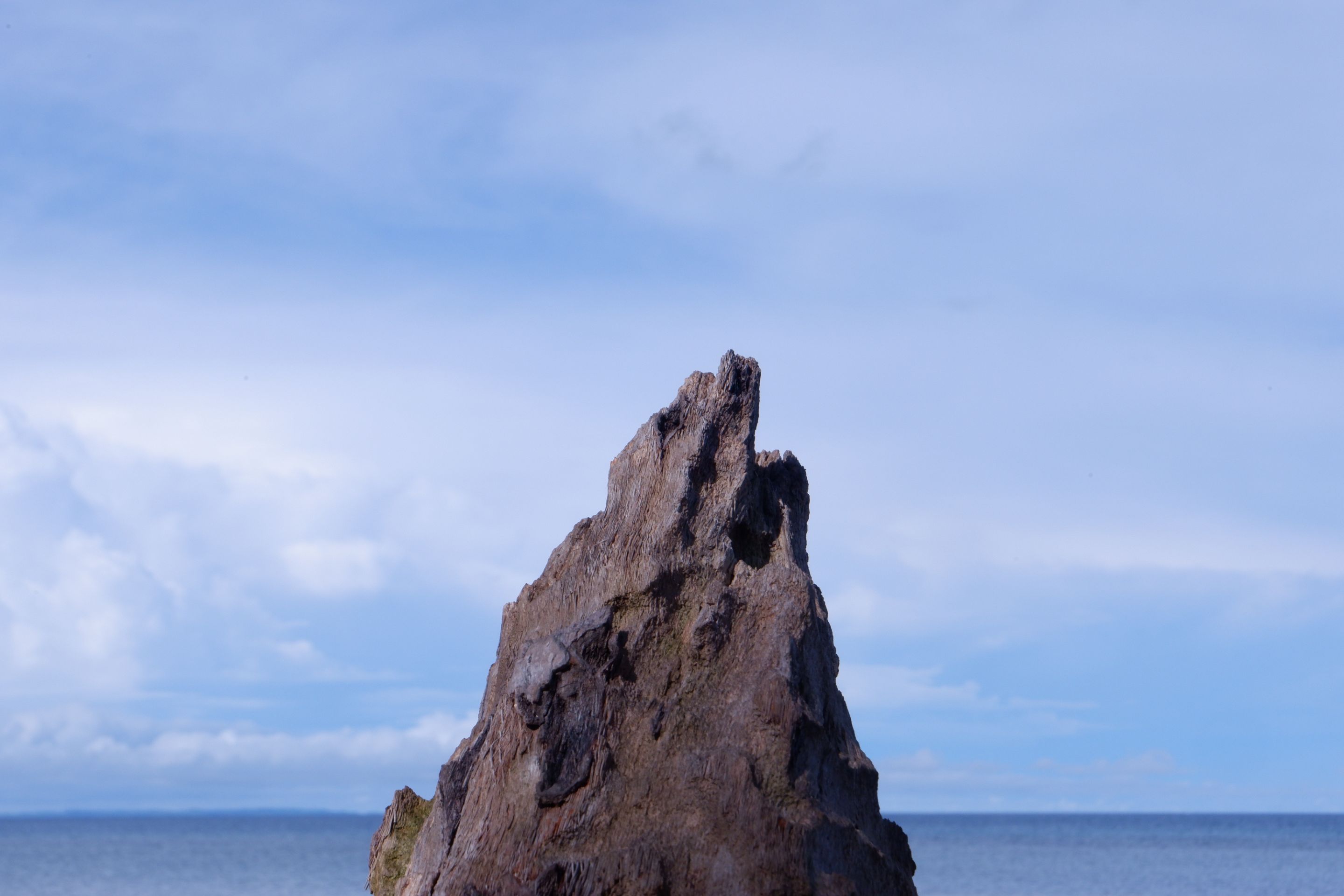 DSCF7092.JPG
