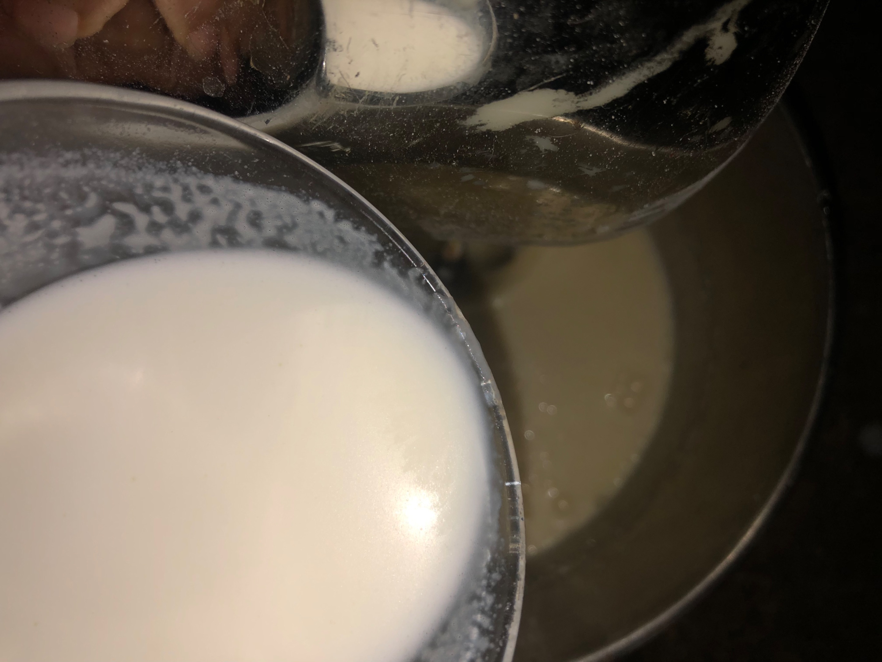 IMG_2325.jpeg