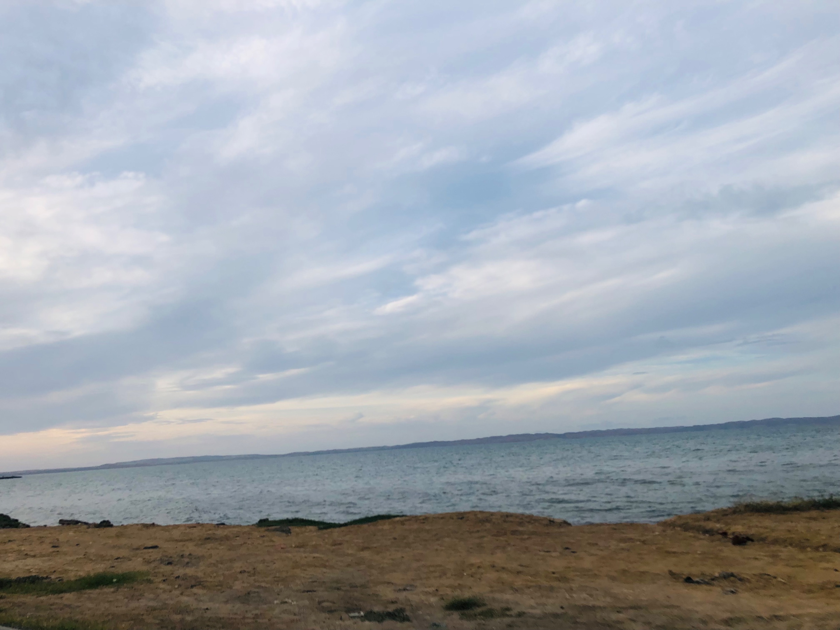 IMG_5295.jpeg