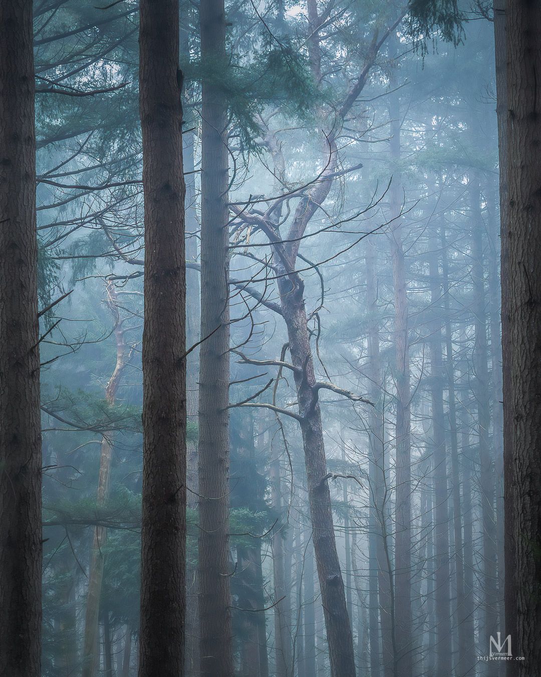 IMG_8774-Edit-Edit-Edit.jpg