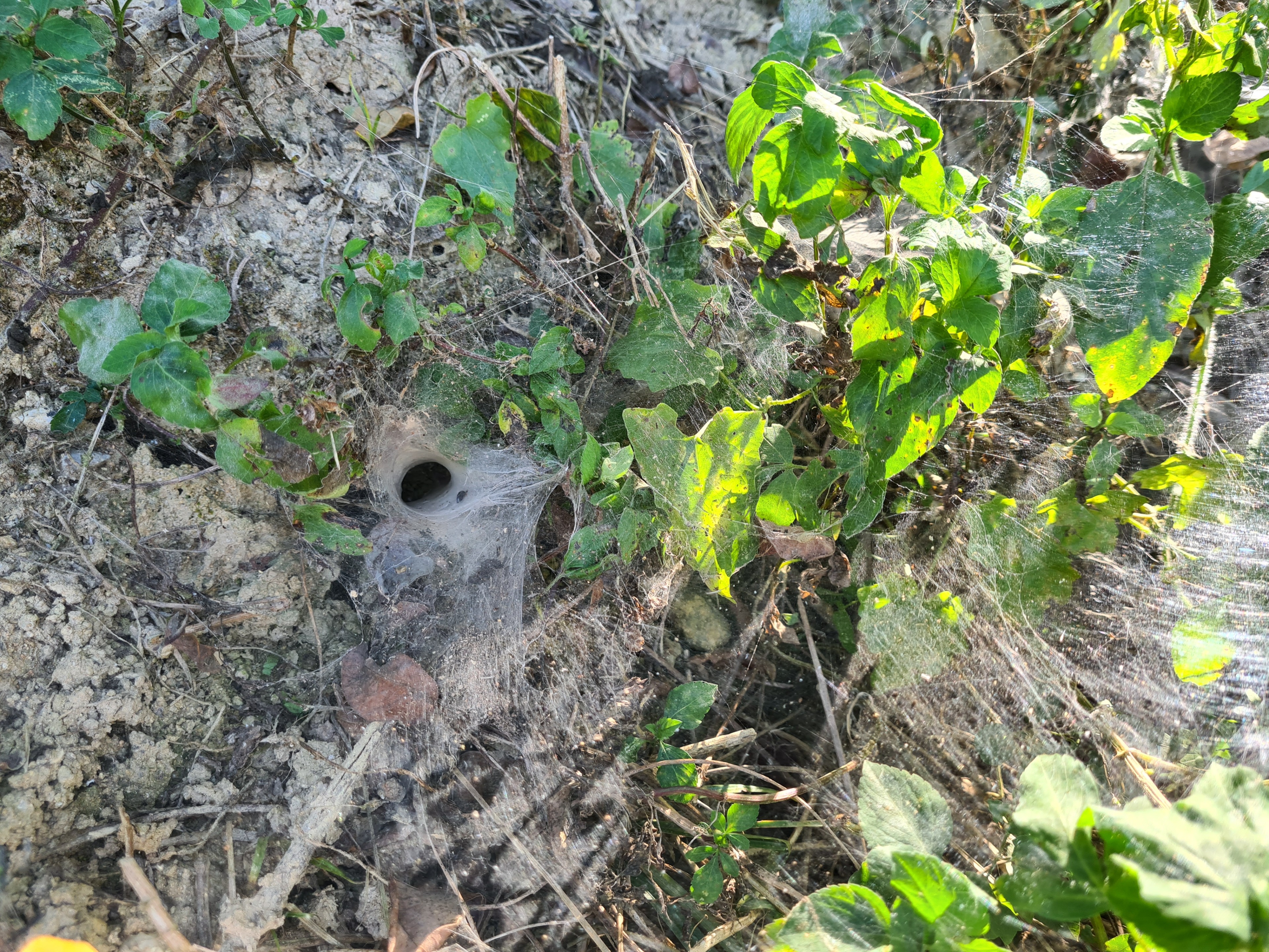 20201226_141503.jpg