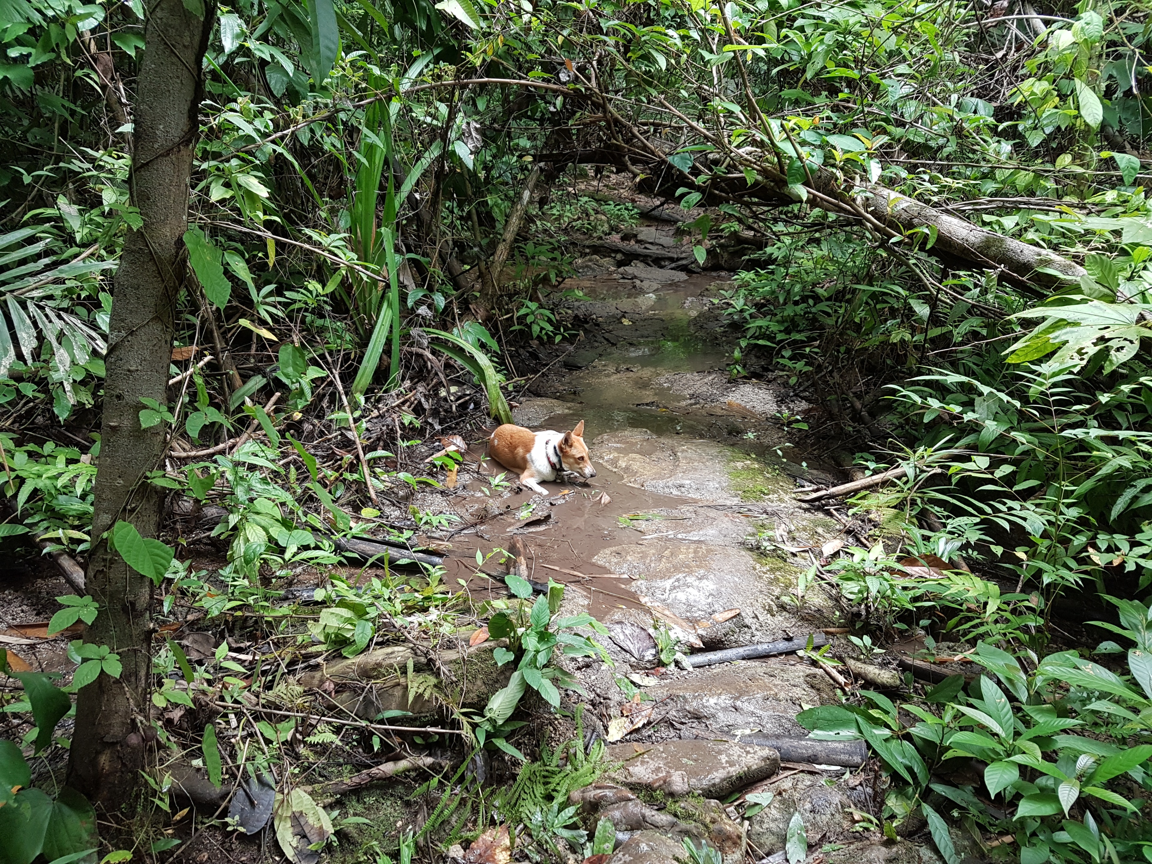 20190727_155154.jpg