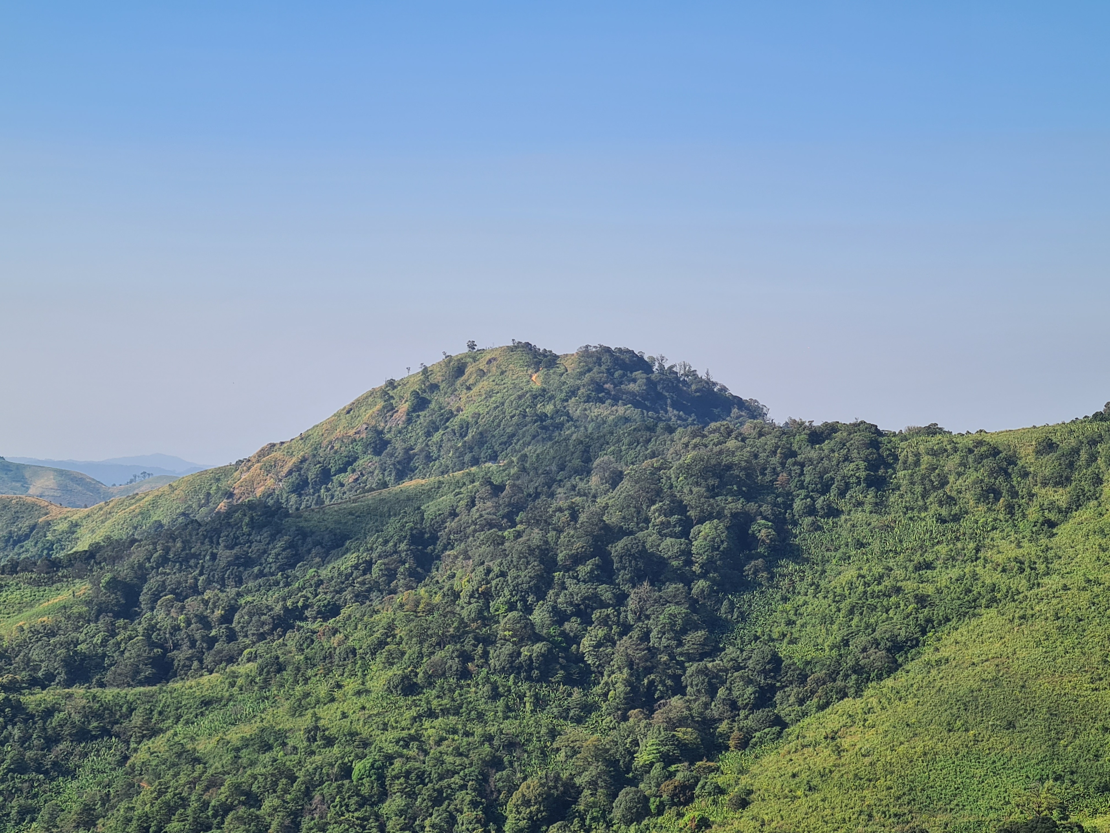 20201230_095337.jpg