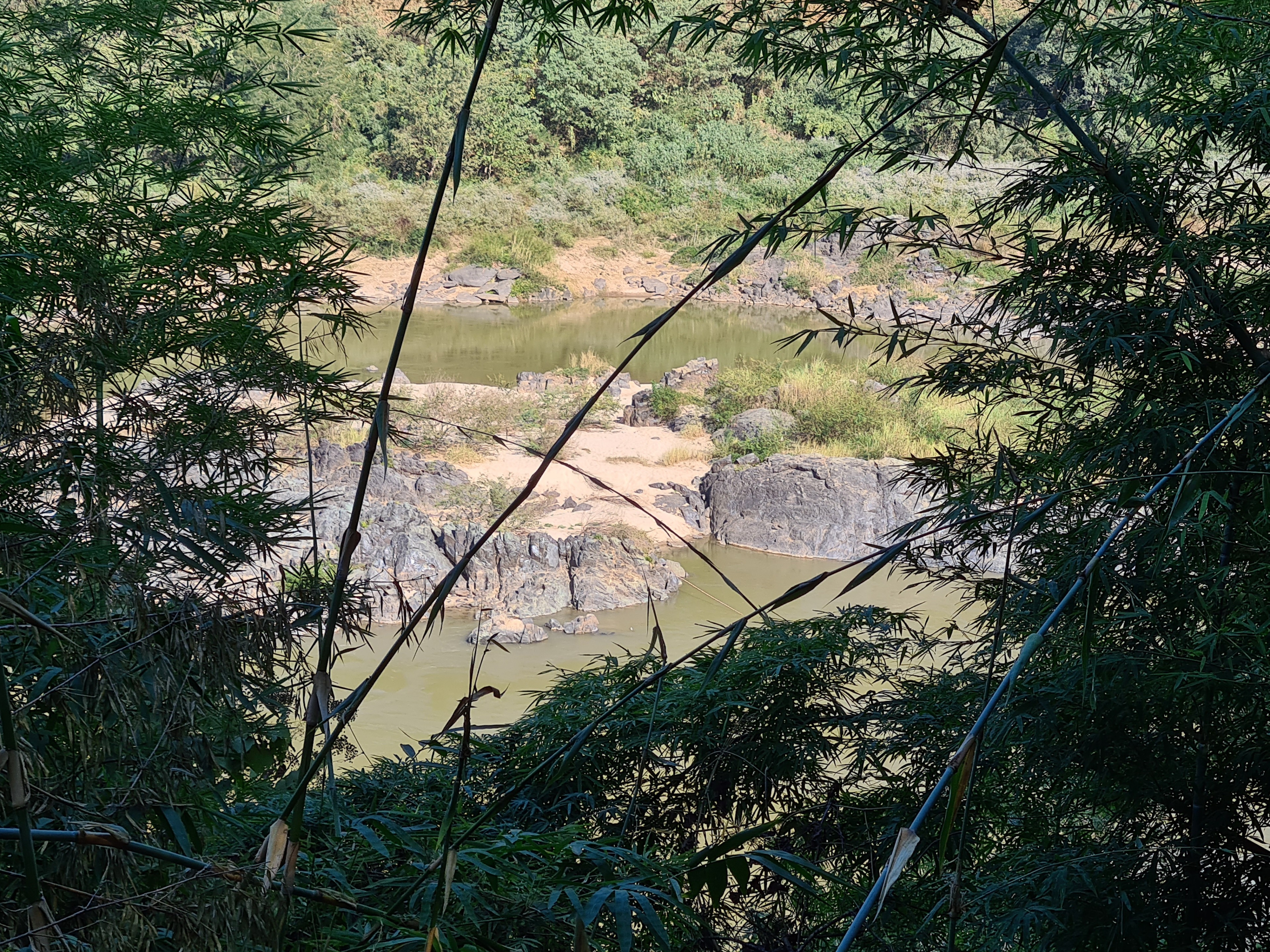 20201226_142226.jpg