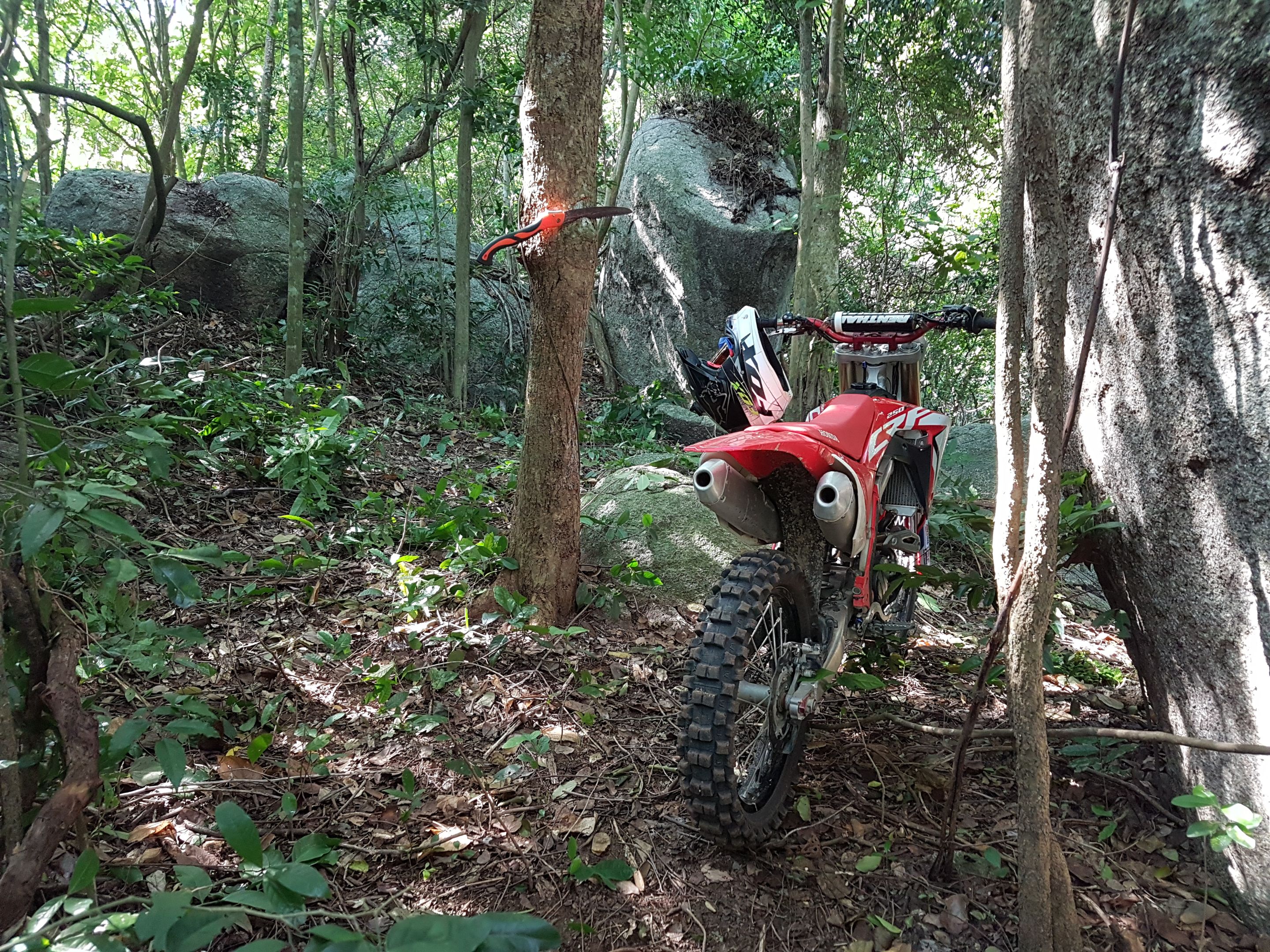 20191103_094613.jpg
