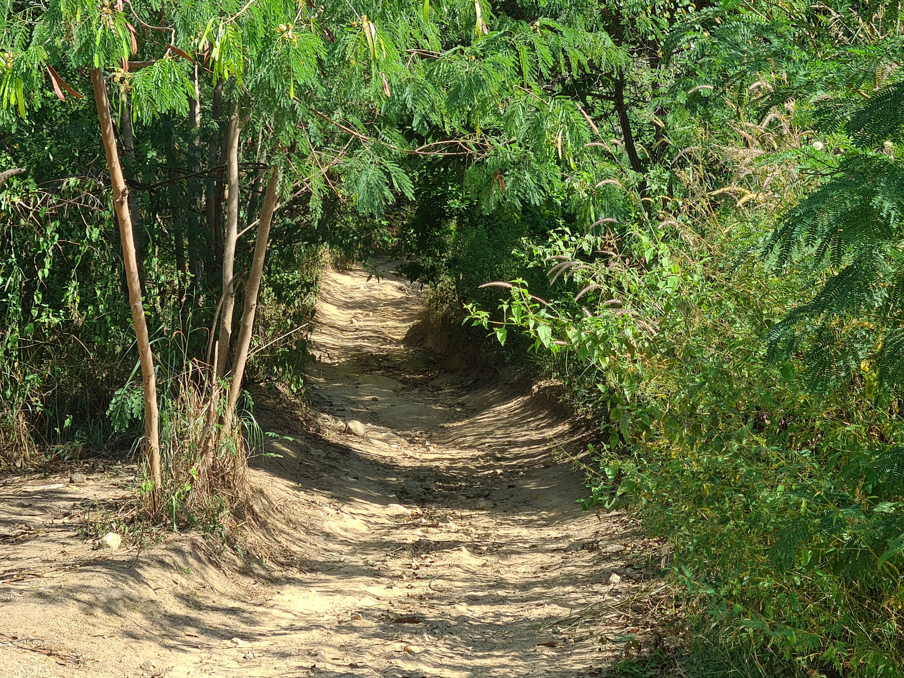 20201115_092700.jpg