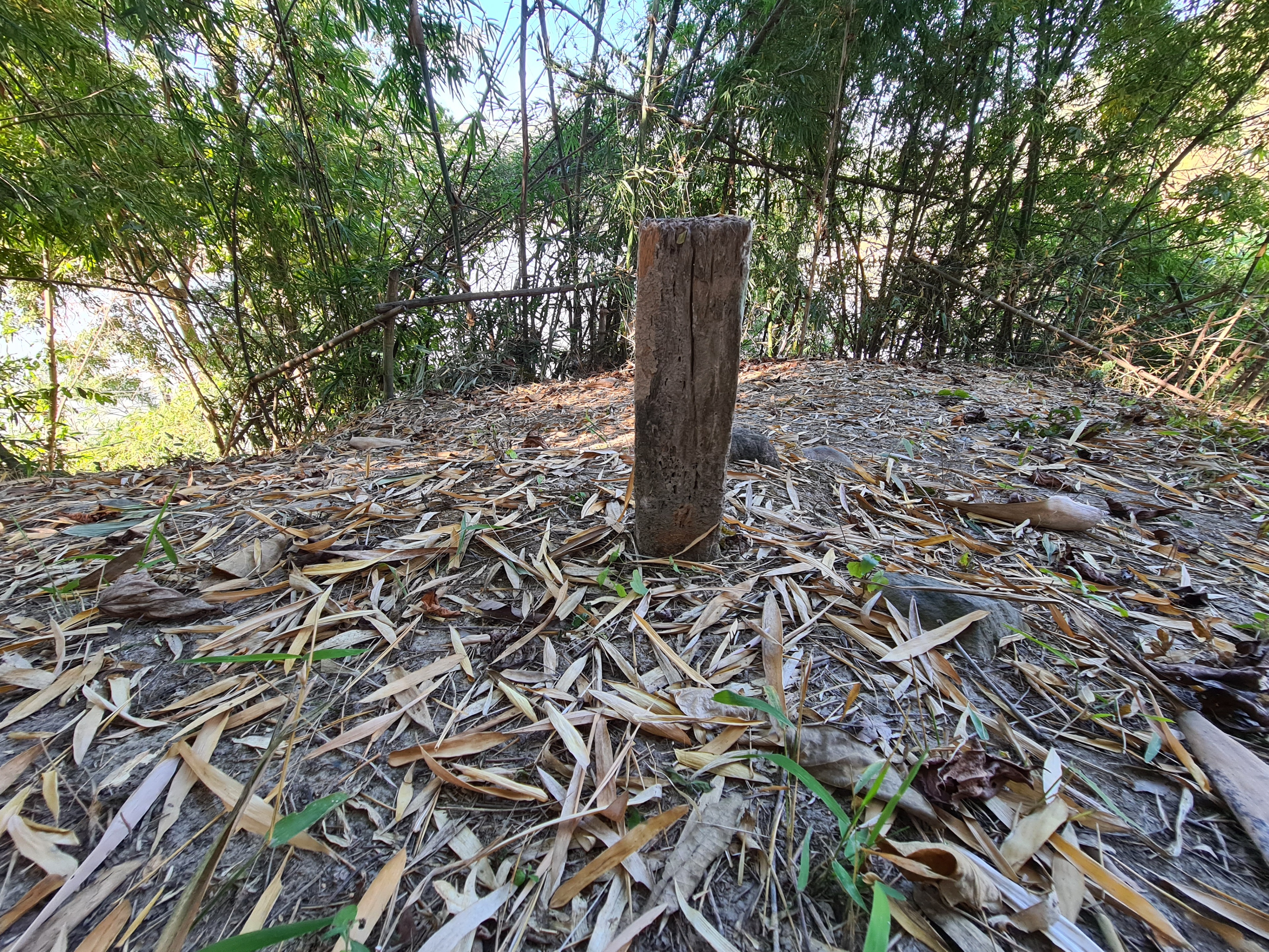 20201226_142118.jpg