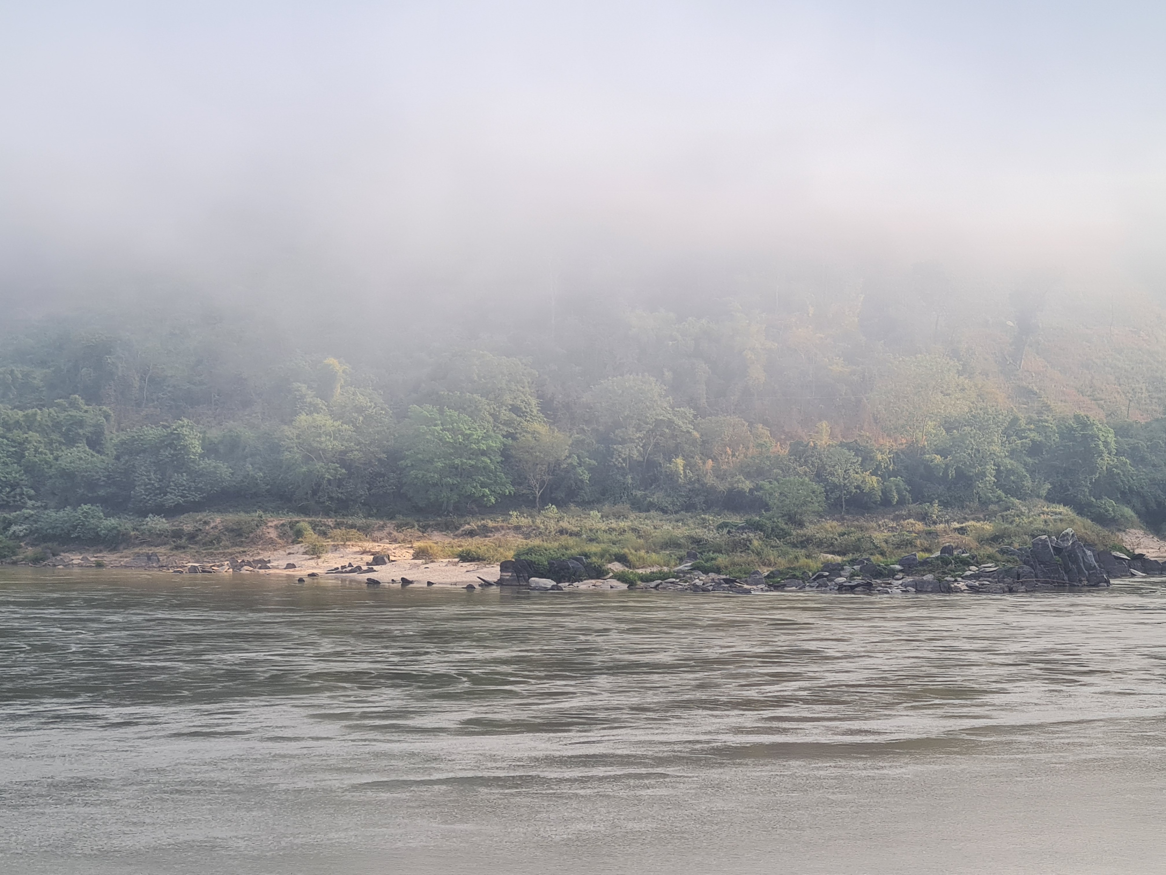 20201227_083009.jpg