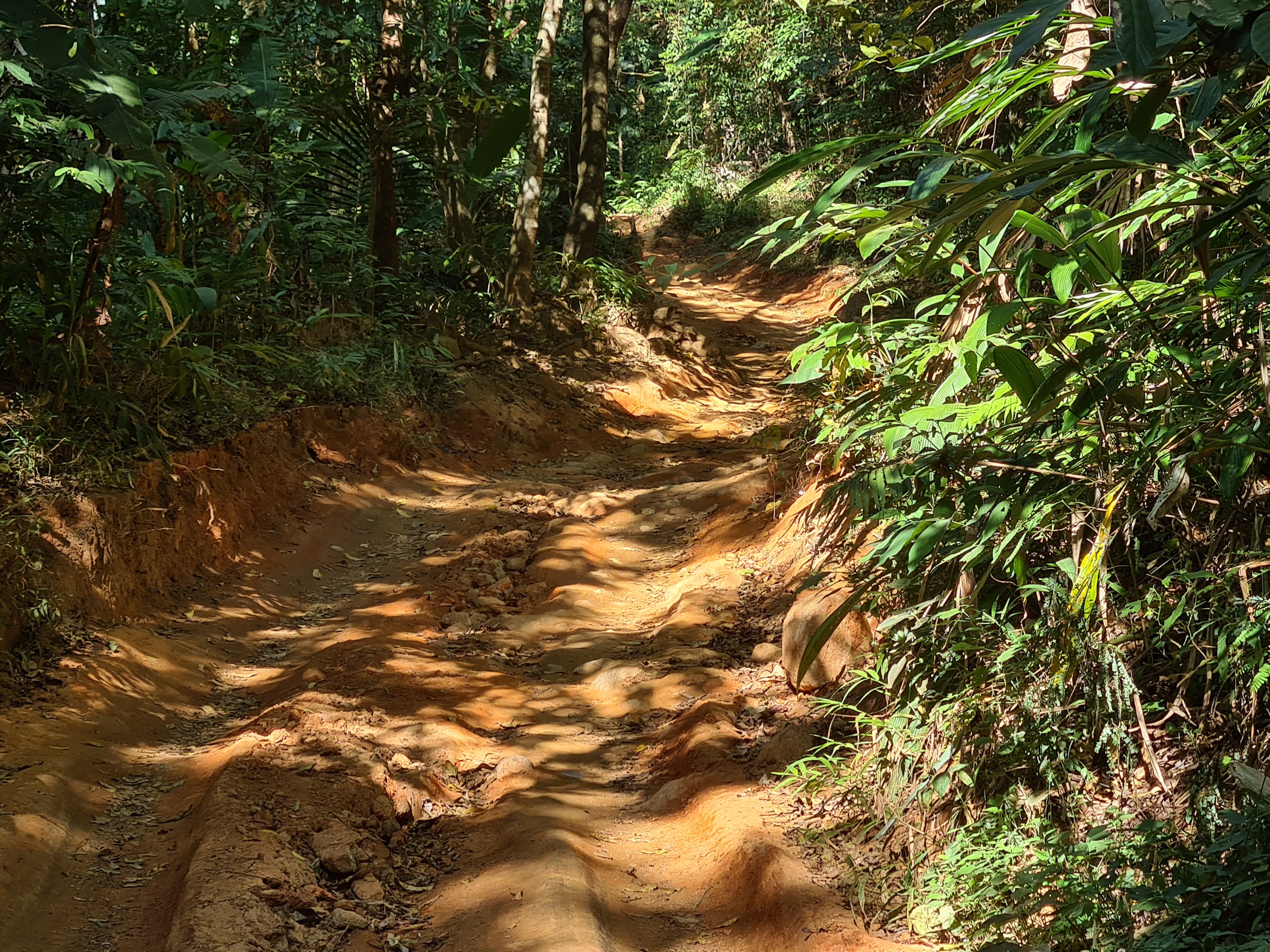 20201229_152249.jpg