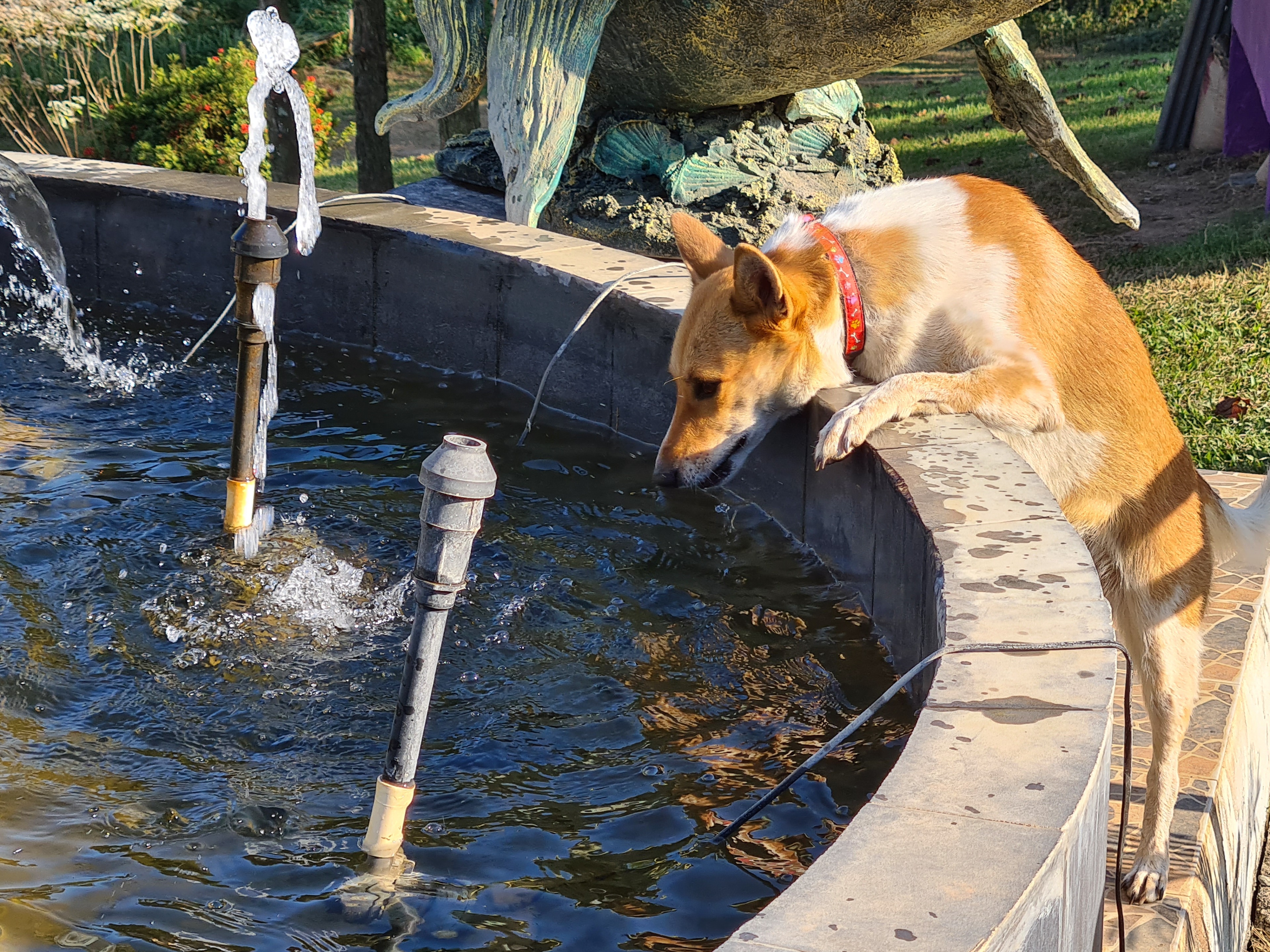 20201226_152939.jpg