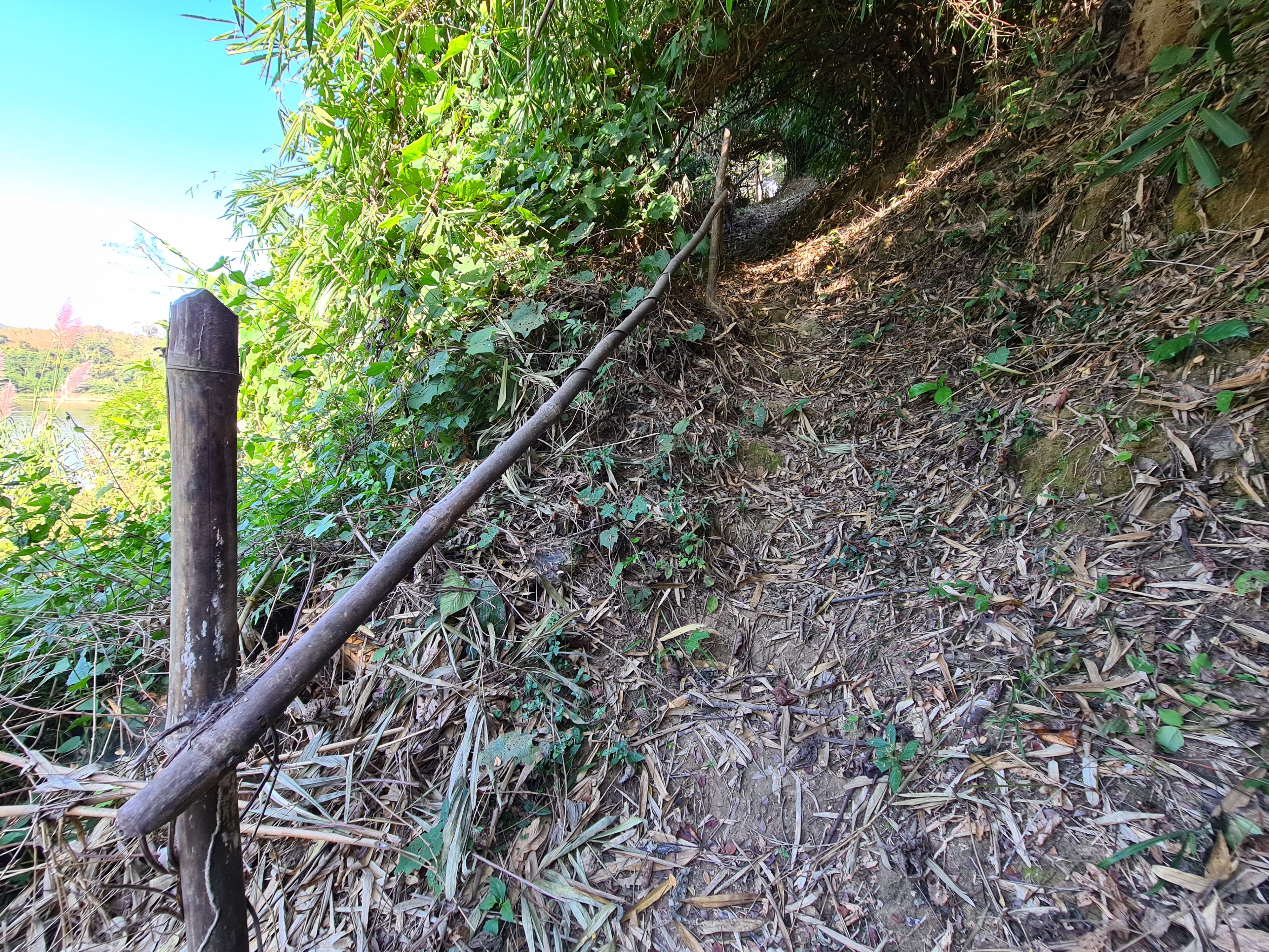 20201226_141710.jpg