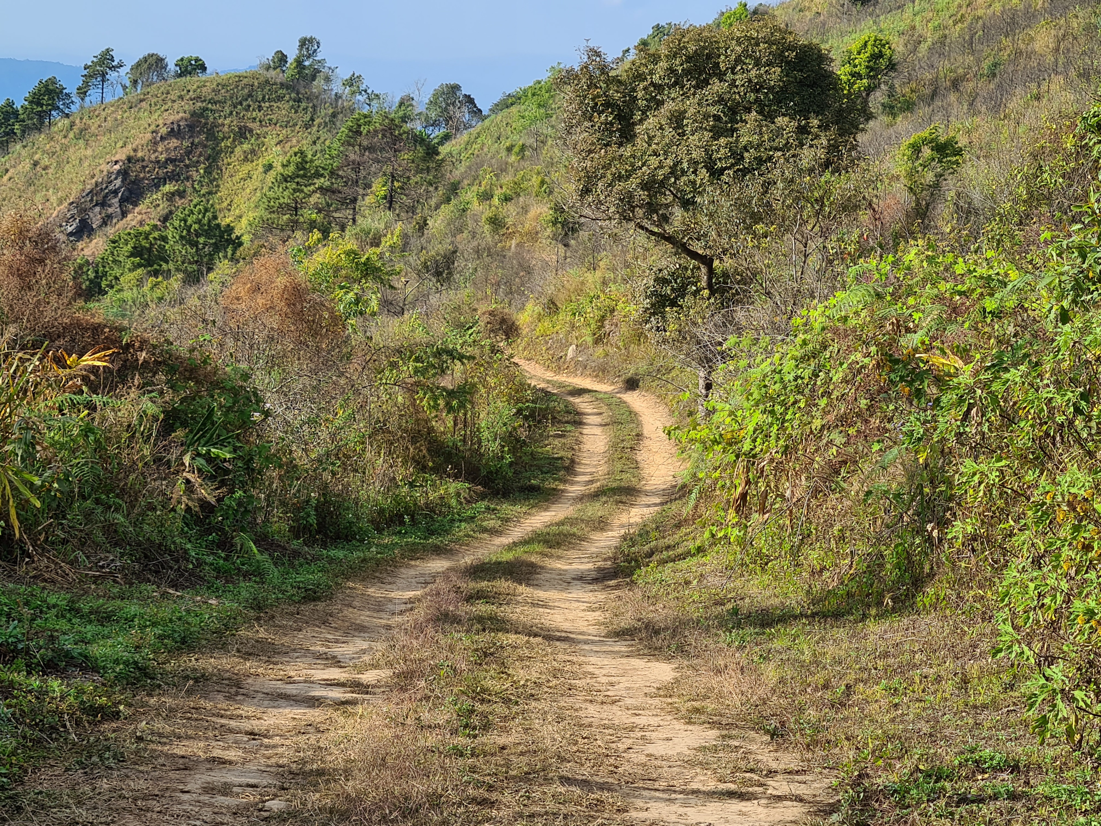 20201227_154930.jpg