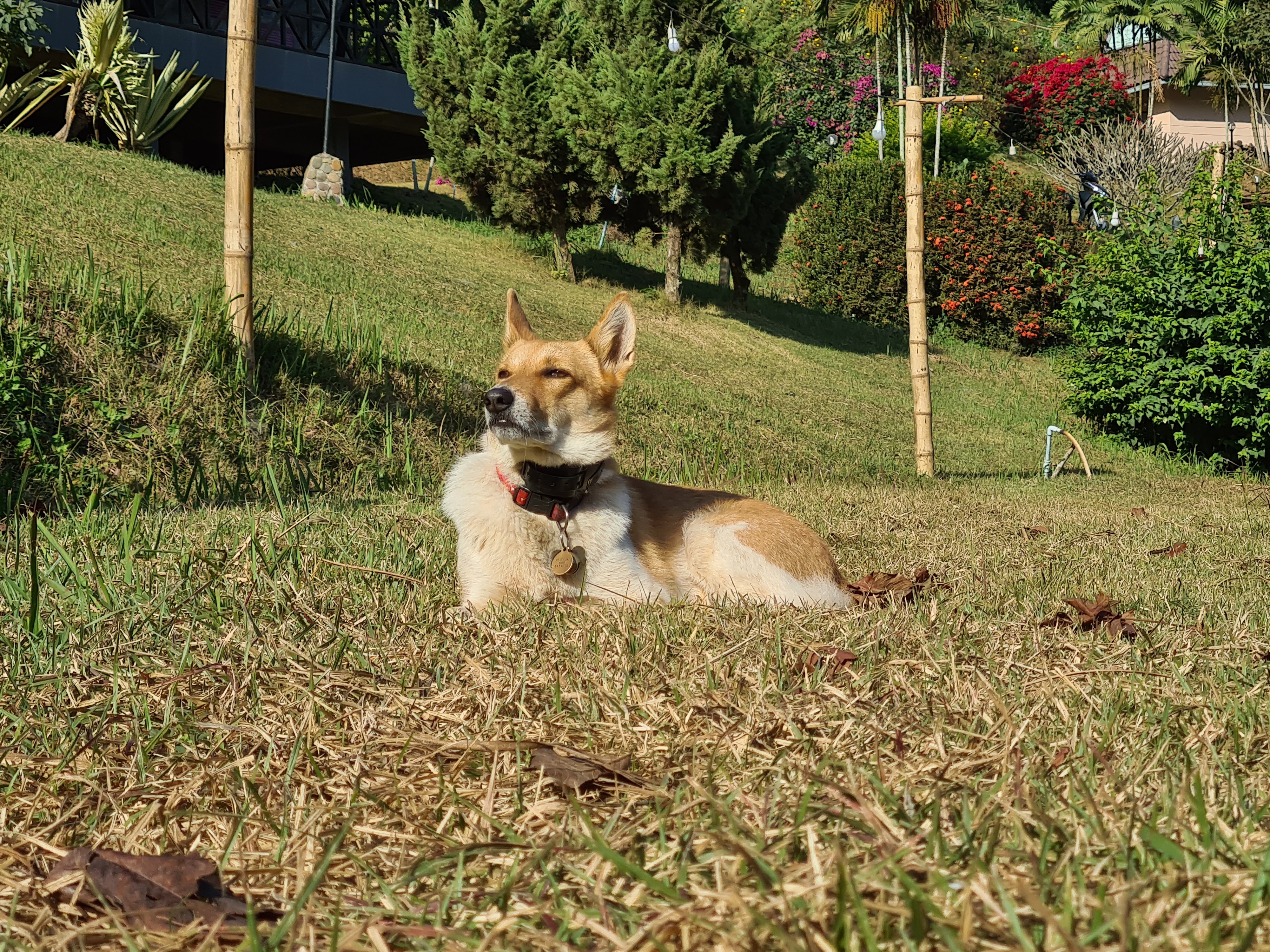 20201227_092901.jpg