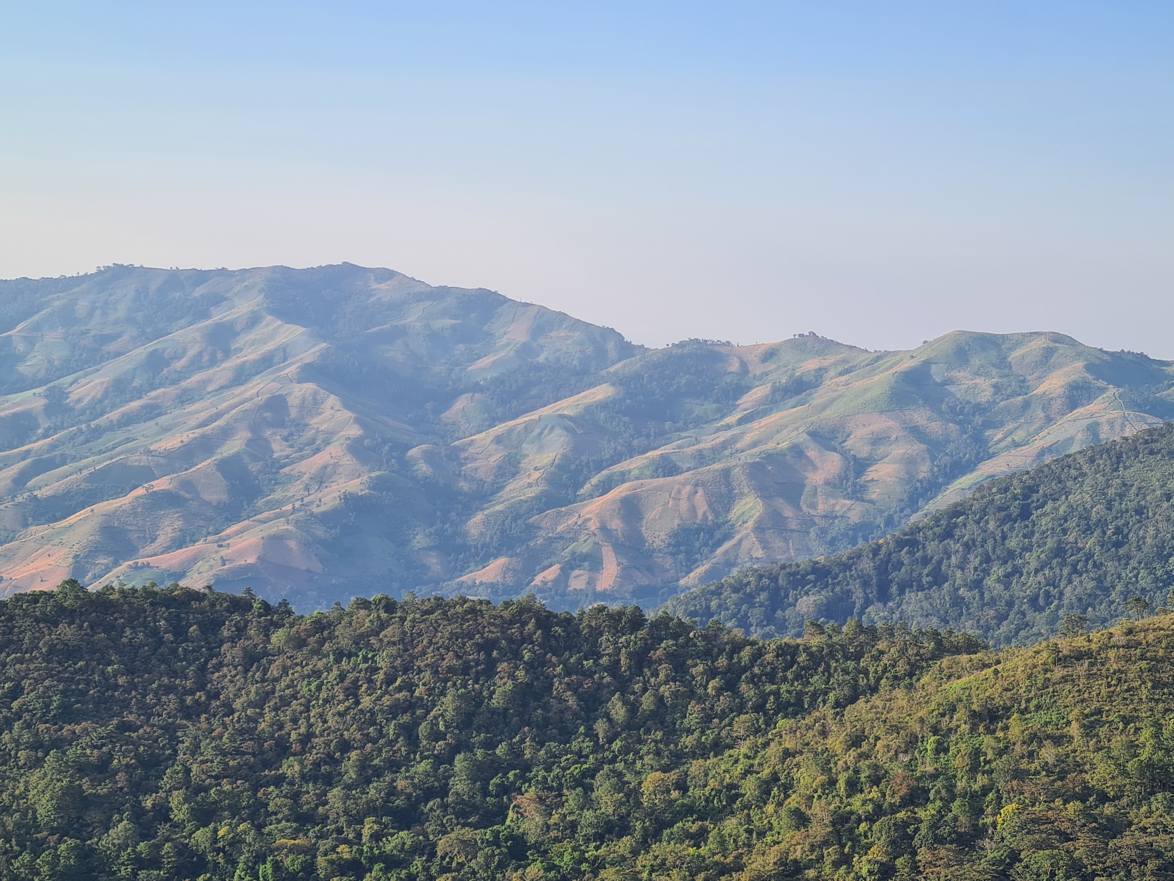20201230_081739.jpg