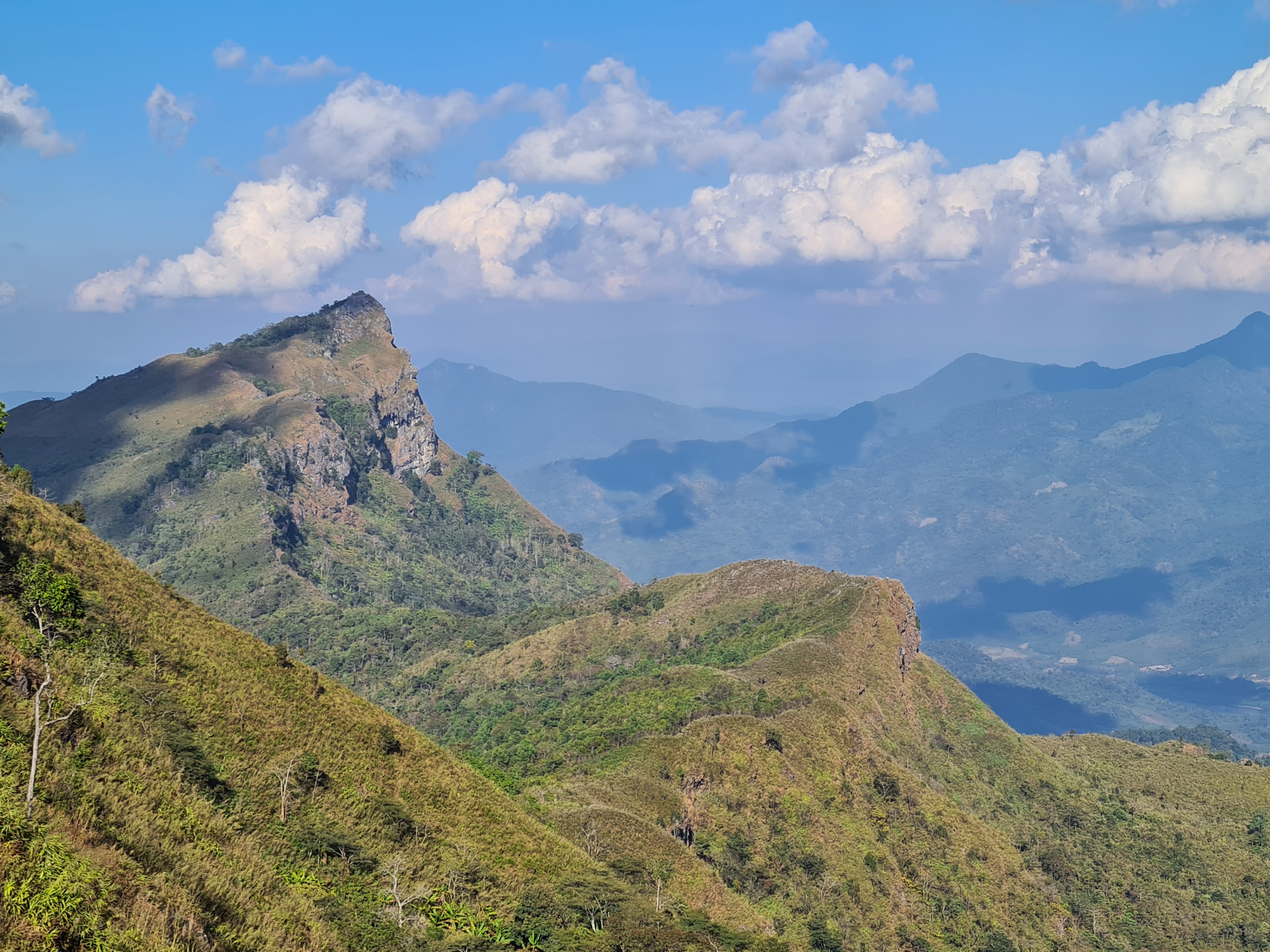 20201227_153147.jpg