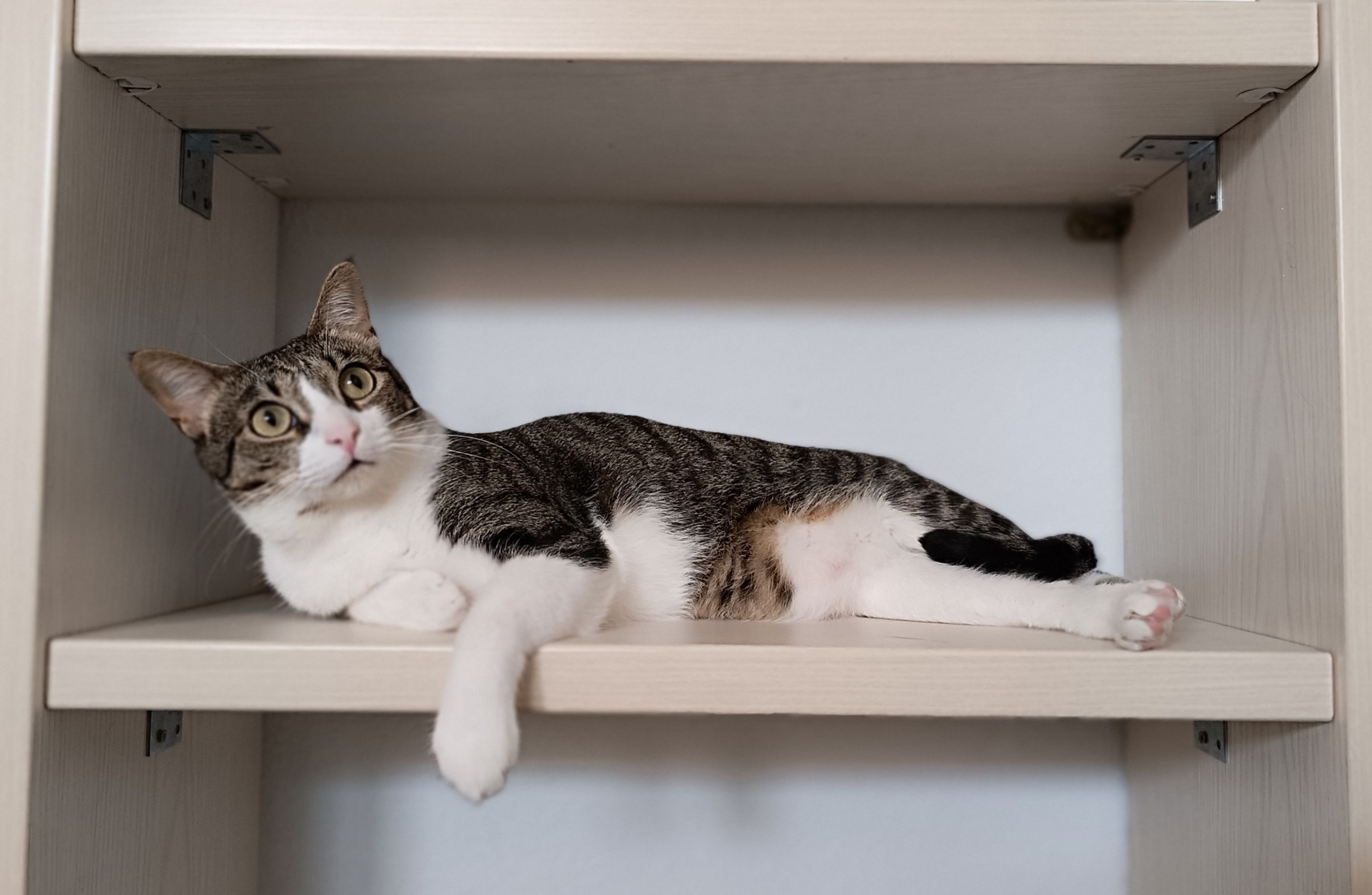Free shelving unit (5).jpg