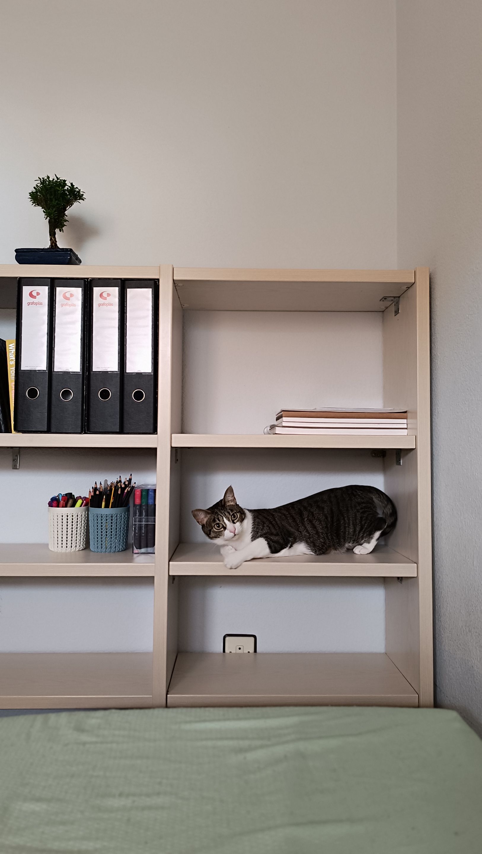 Free shelving unit (4).jpg