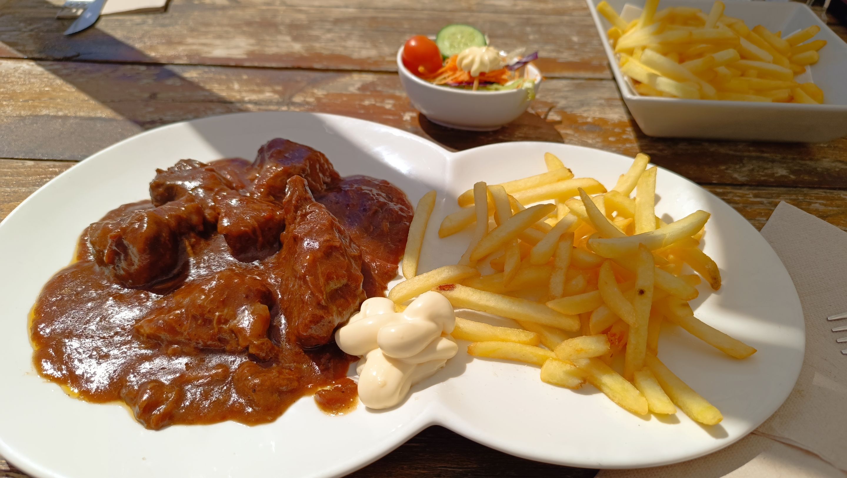 Stew with fries.jpg