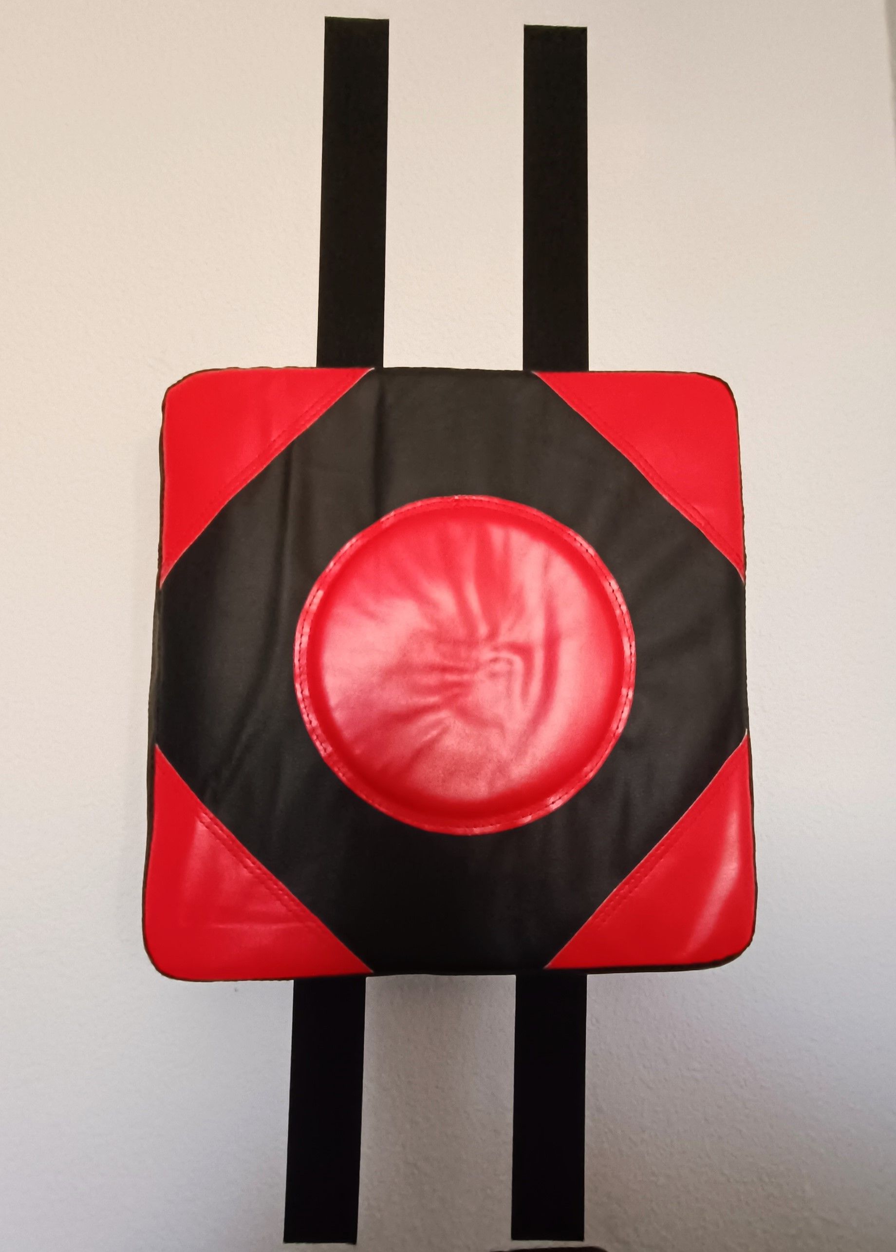 boxing pad.jpg